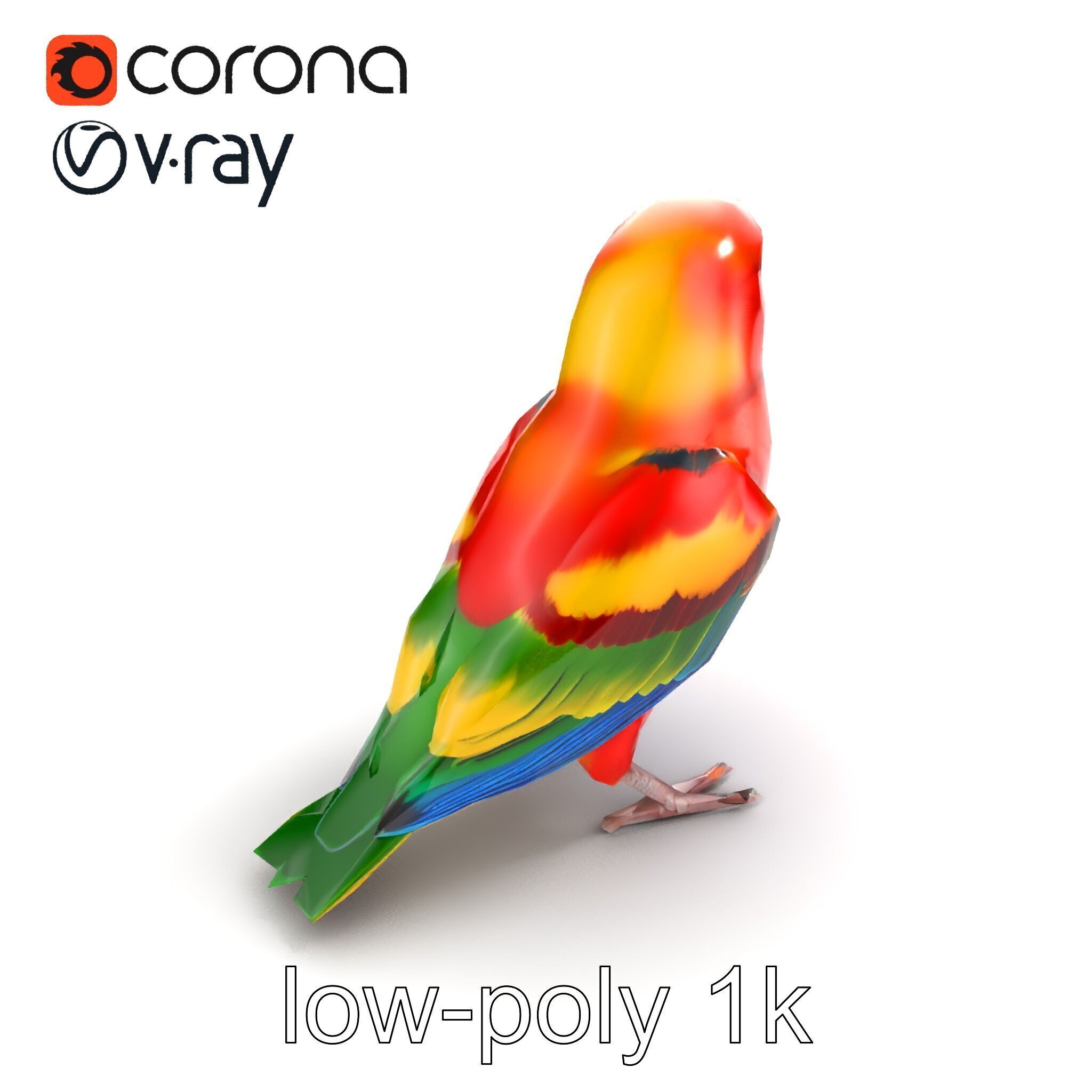 Vibrant Rosella Parrot 3D model pack Low-poly 3D model_9