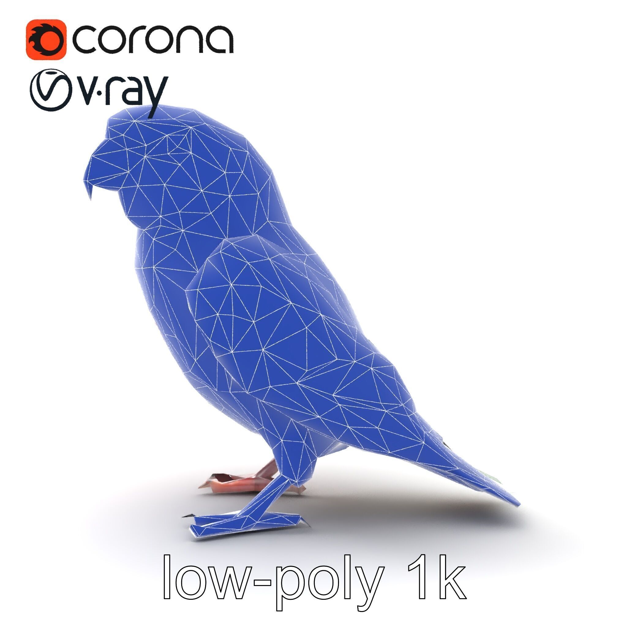 Vibrant Rosella Parrot 3D model pack Low-poly 3D model_24