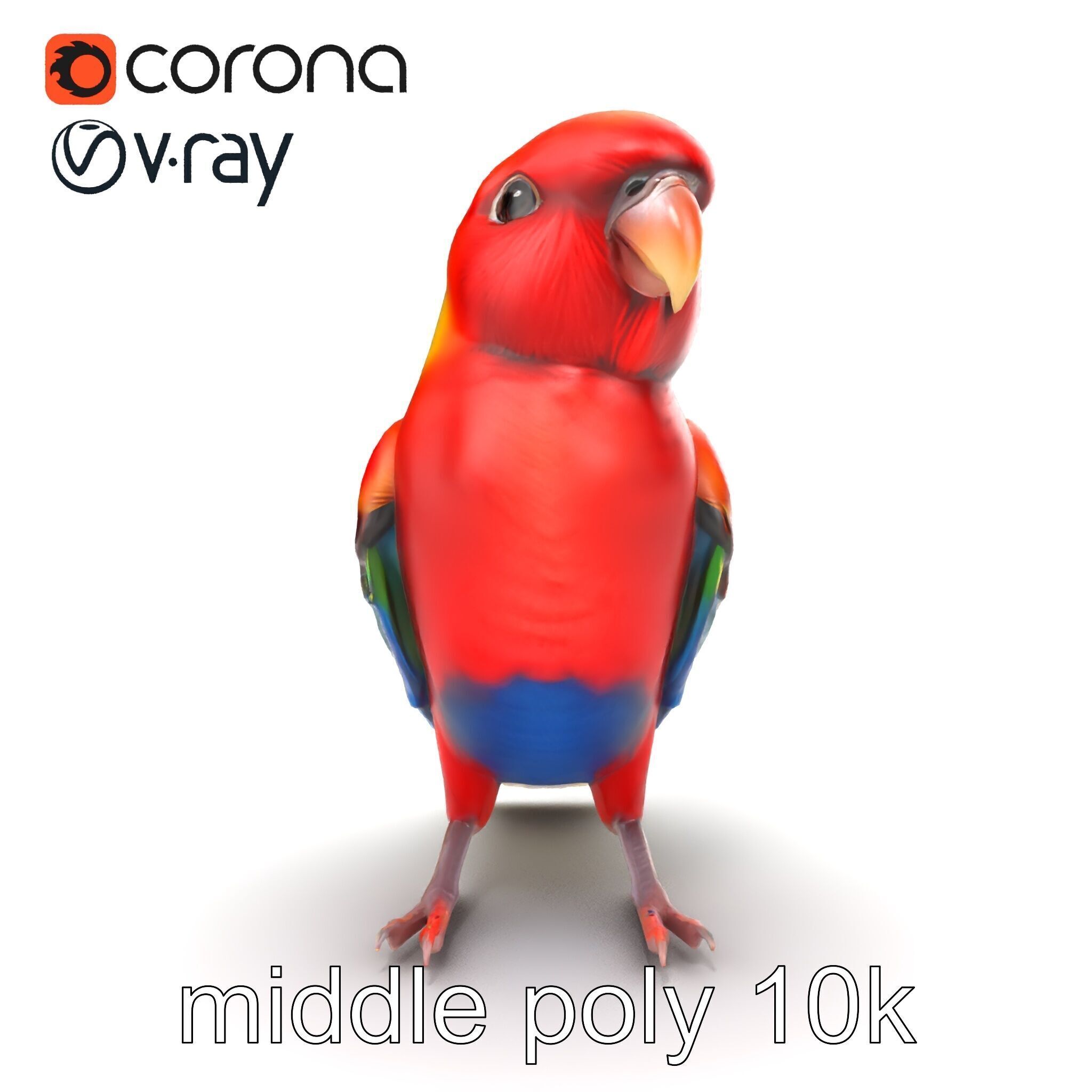 Vibrant Rosella Parrot 3D model pack Low-poly 3D model_31