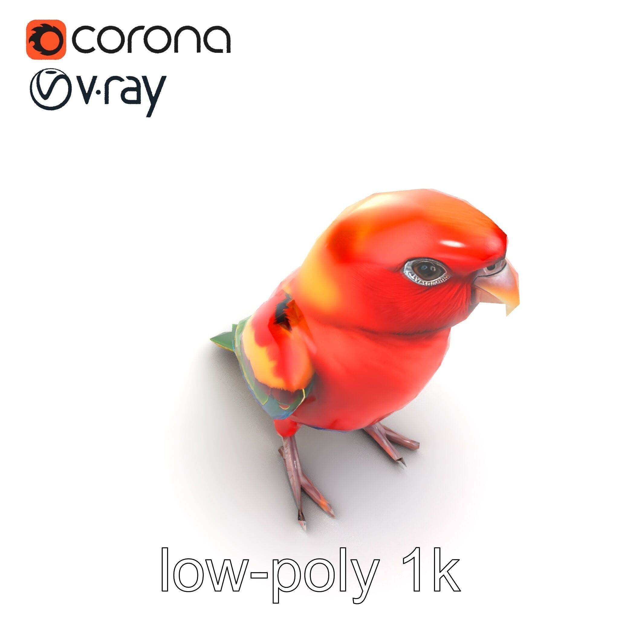 Vibrant Rosella Parrot 3D model pack Low-poly 3D model_16