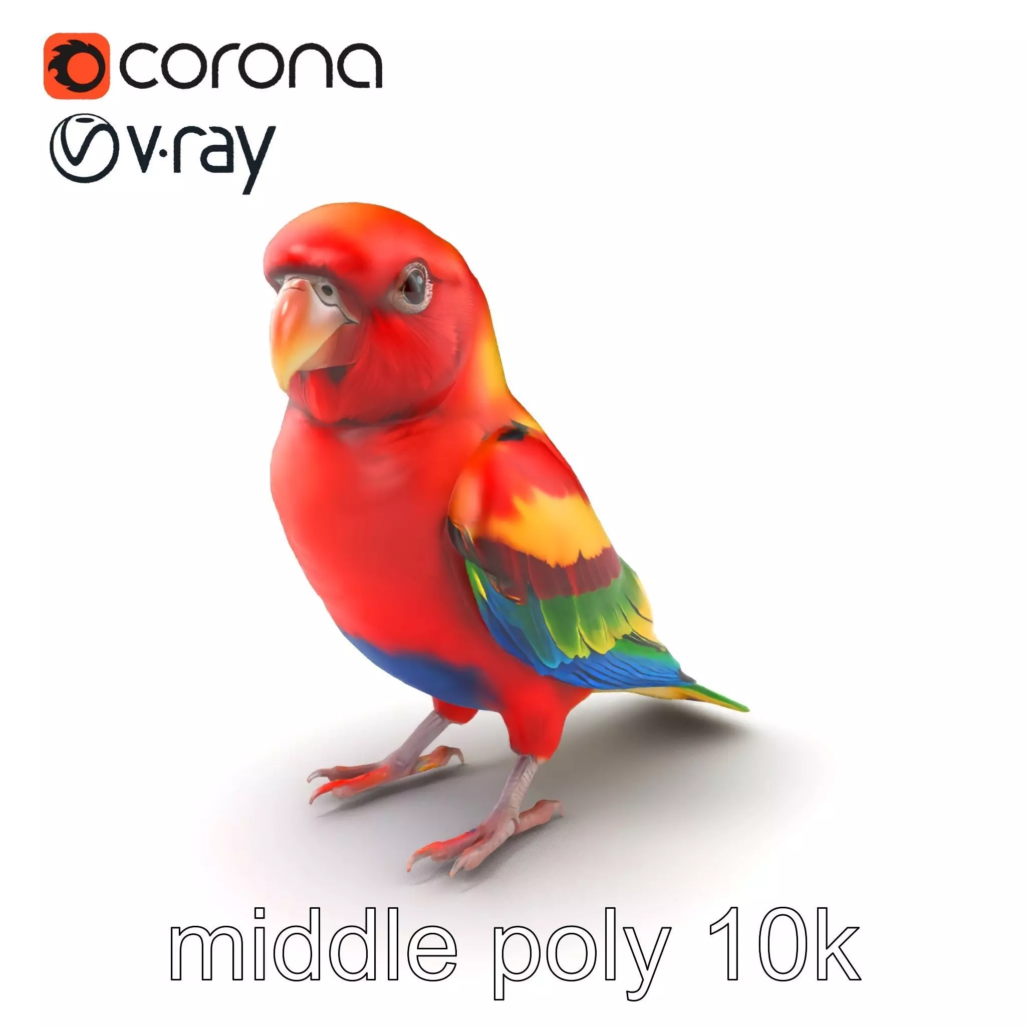 Vibrant Rosella Parrot 3D model pack Low-poly 3D model_0