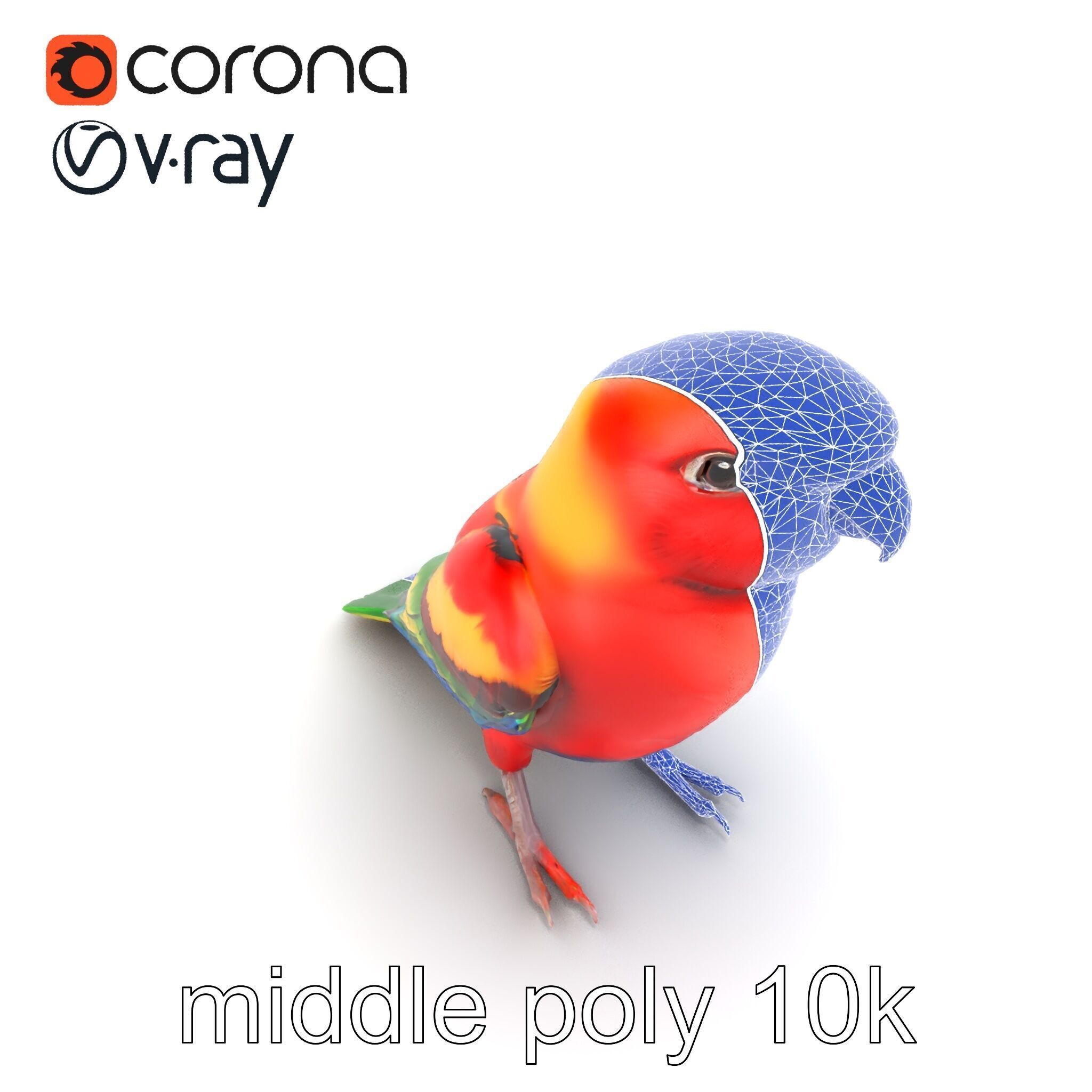 Vibrant Rosella Parrot 3D model pack Low-poly 3D model_28