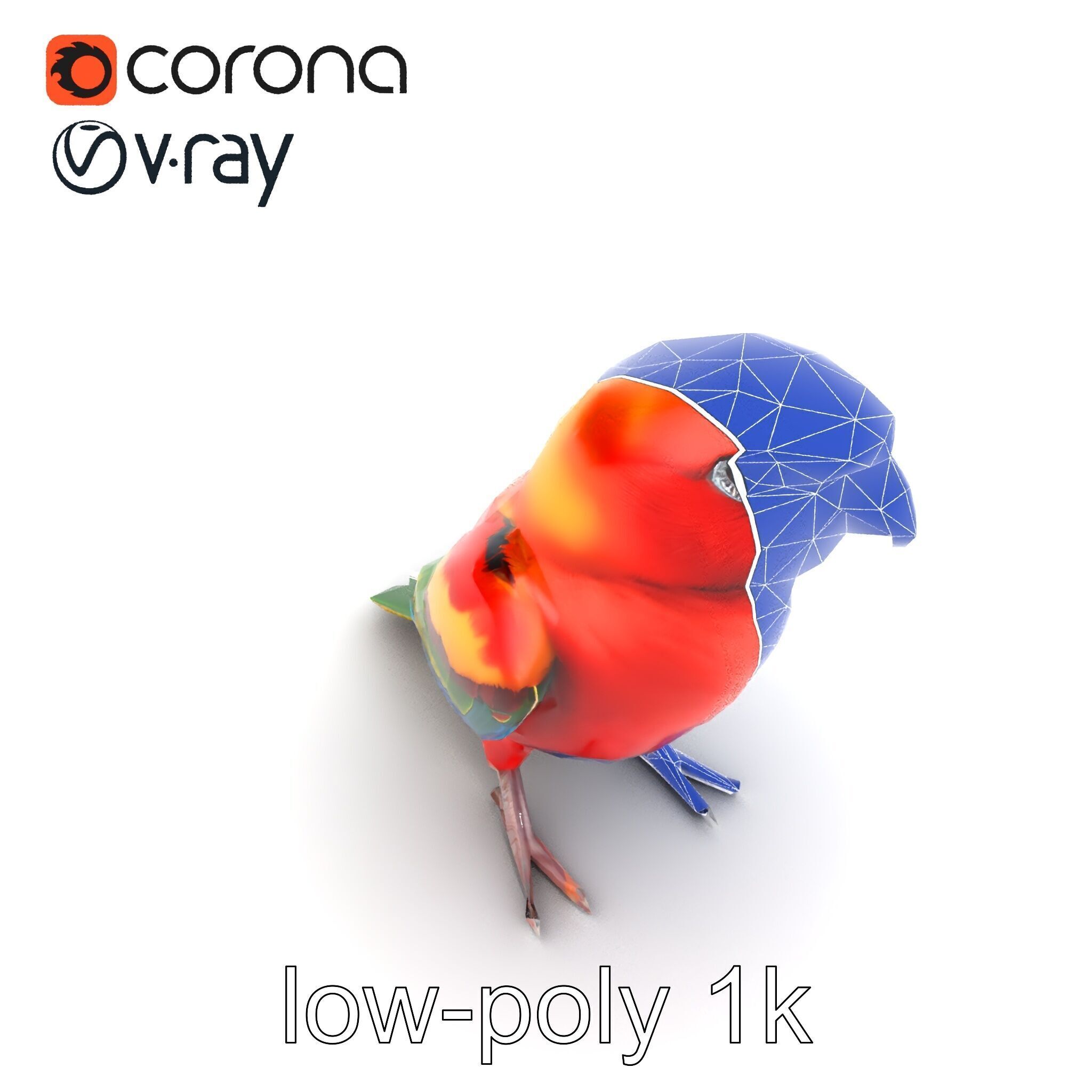 Vibrant Rosella Parrot 3D model pack Low-poly 3D model_17