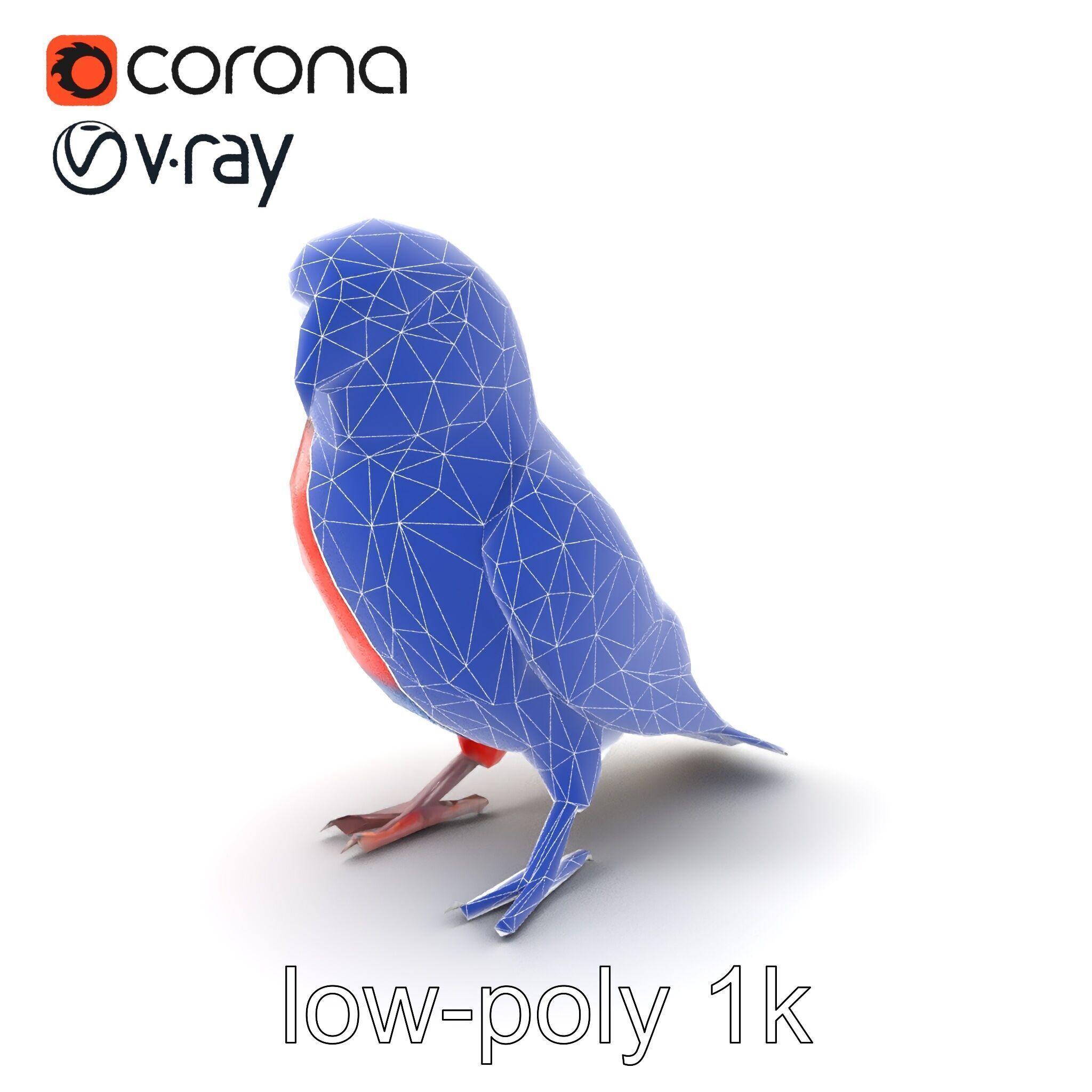 Vibrant Rosella Parrot 3D model pack Low-poly 3D model_7