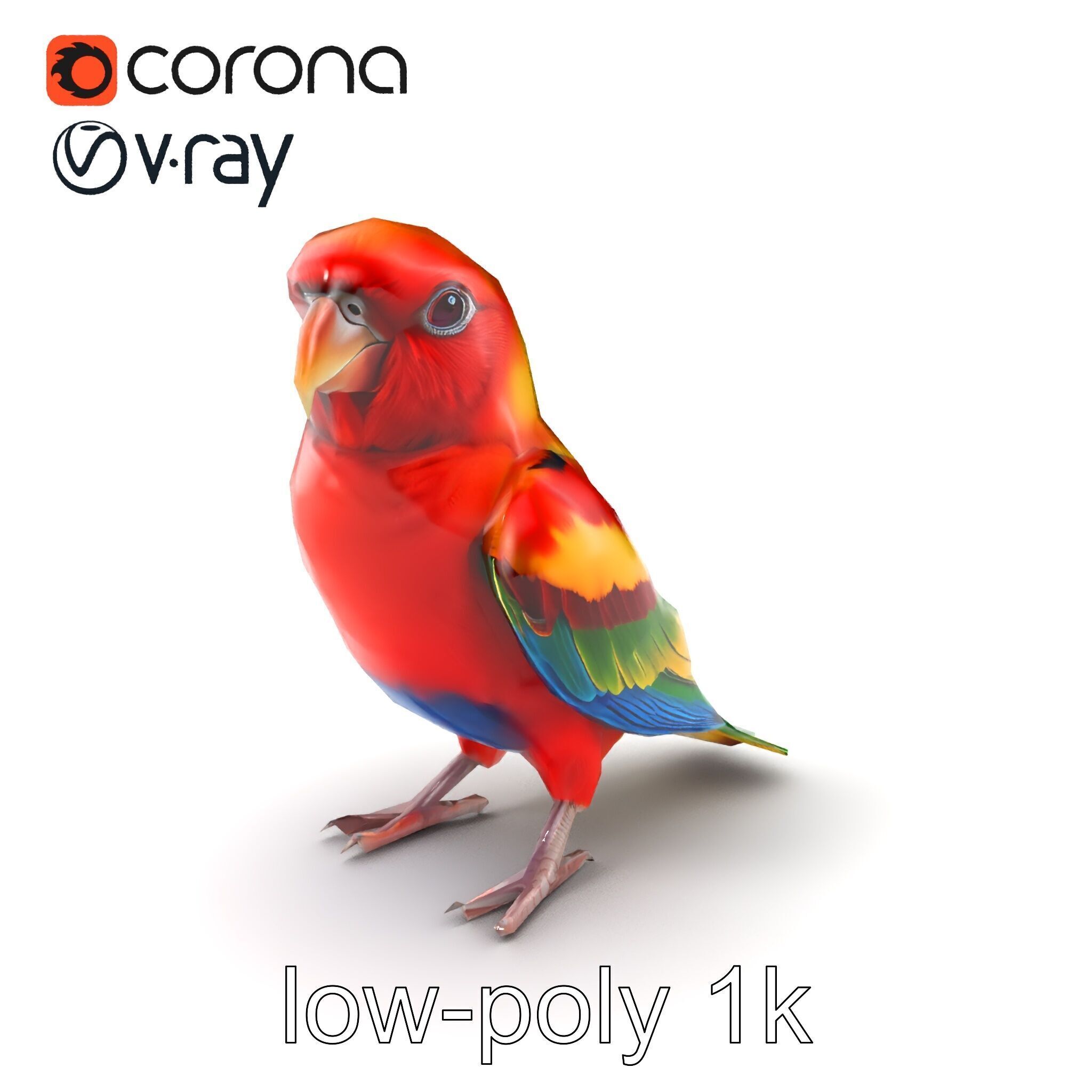Vibrant Rosella Parrot 3D model pack Low-poly 3D model_5