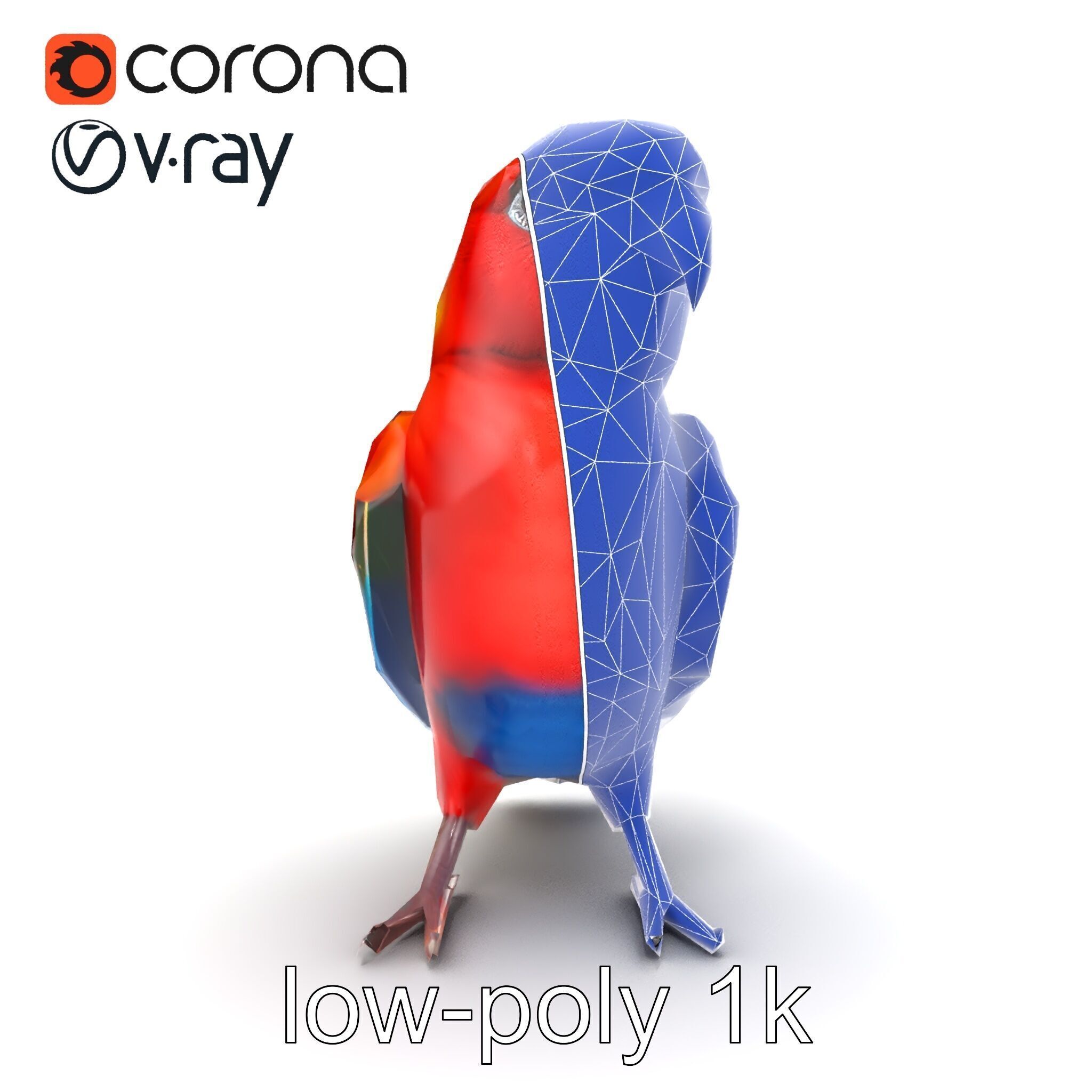 Vibrant Rosella Parrot 3D model pack Low-poly 3D model_22
