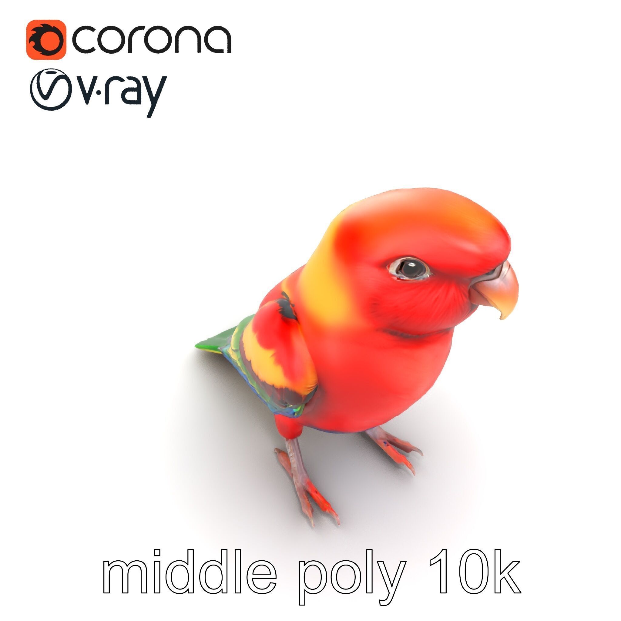 Vibrant Rosella Parrot 3D model pack Low-poly 3D model_30
