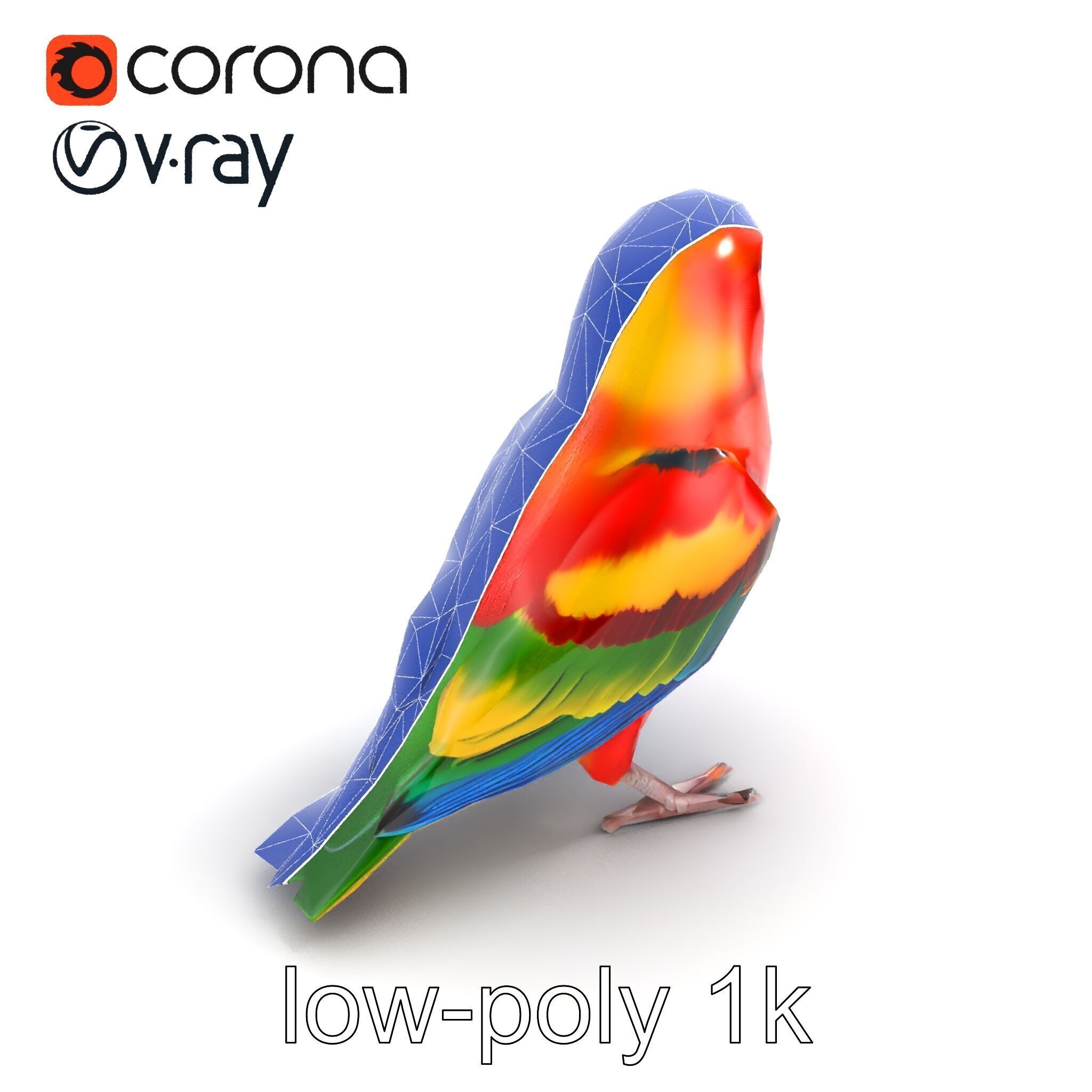 Vibrant Rosella Parrot 3D model pack Low-poly 3D model_12