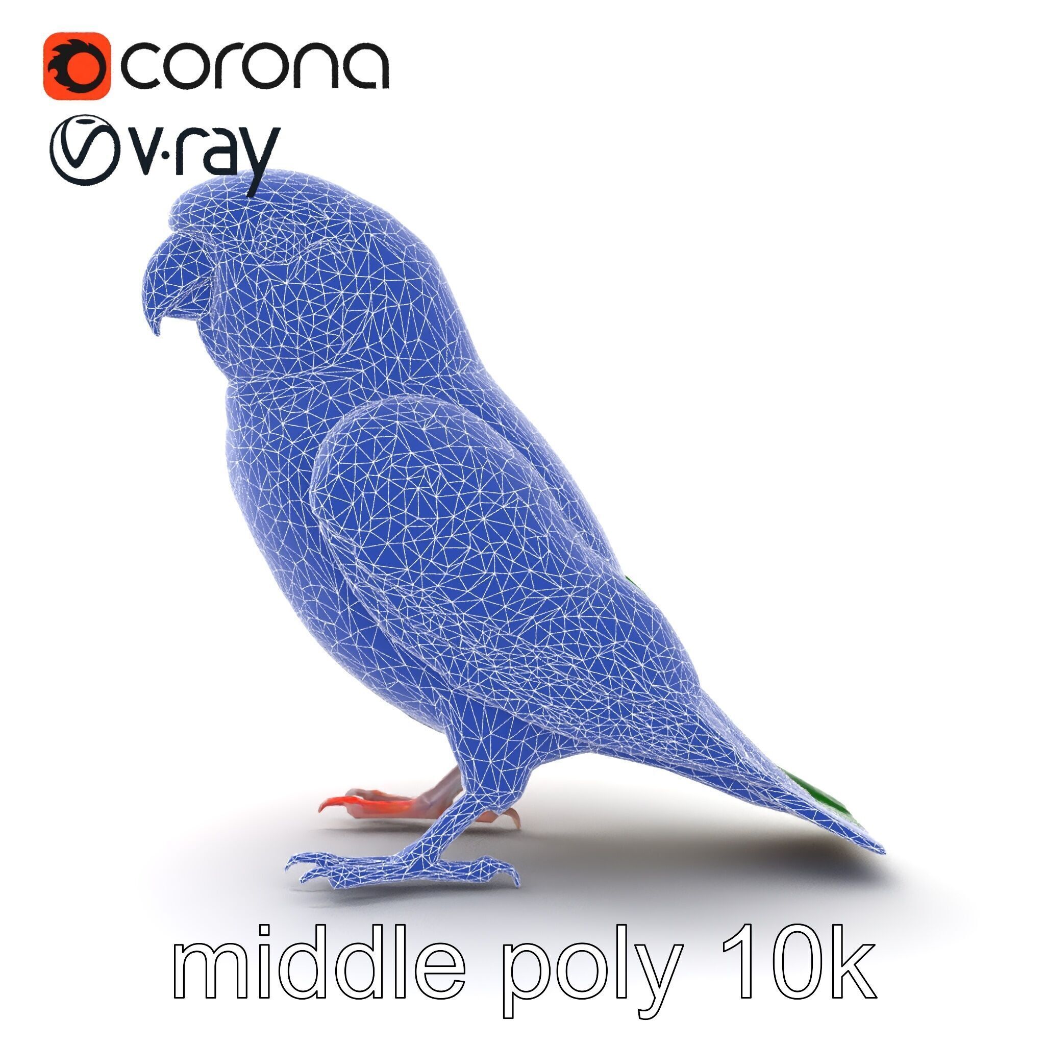 Vibrant Rosella Parrot 3D model pack Low-poly 3D model_21