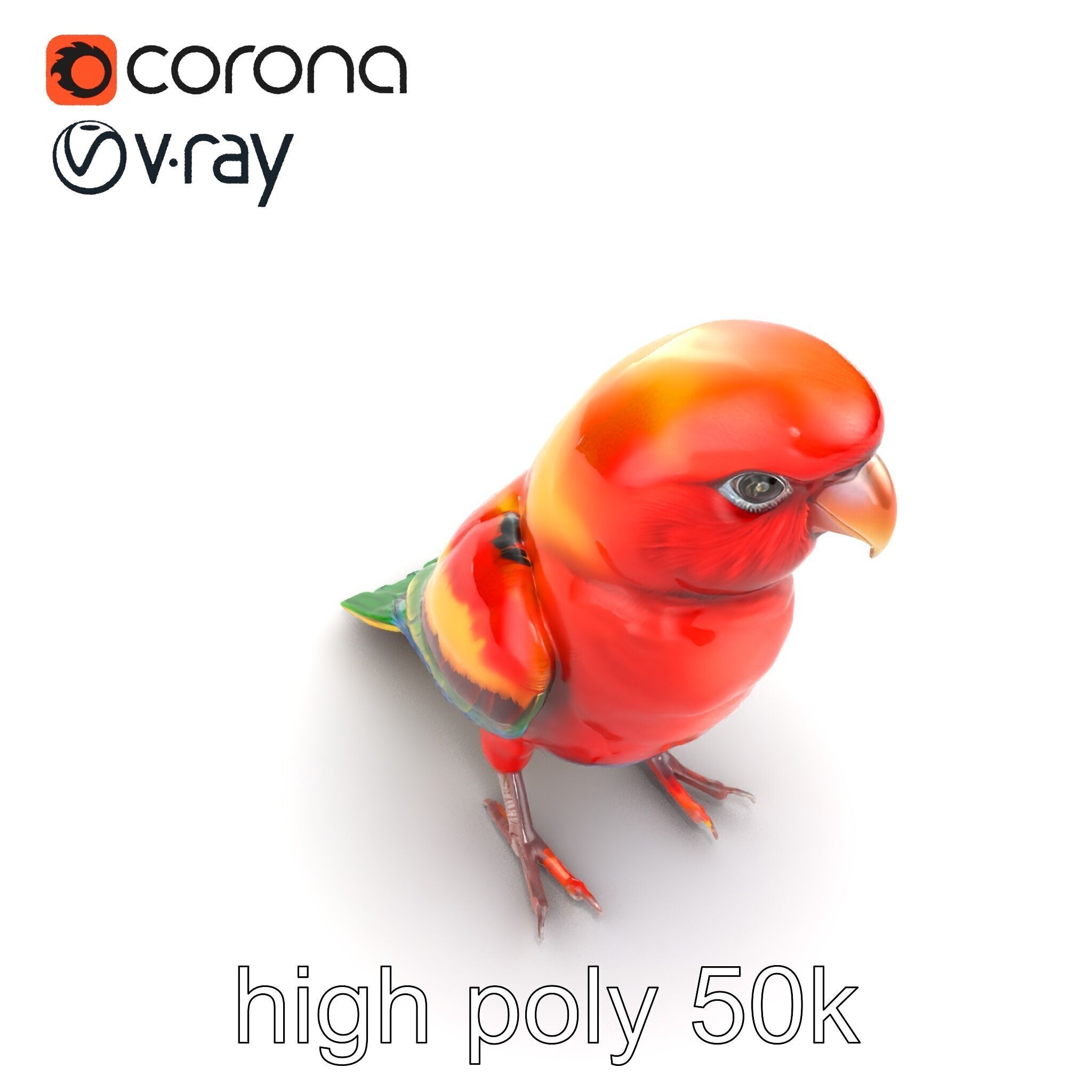 Vibrant Rosella Parrot 3D model pack Low-poly 3D model_26