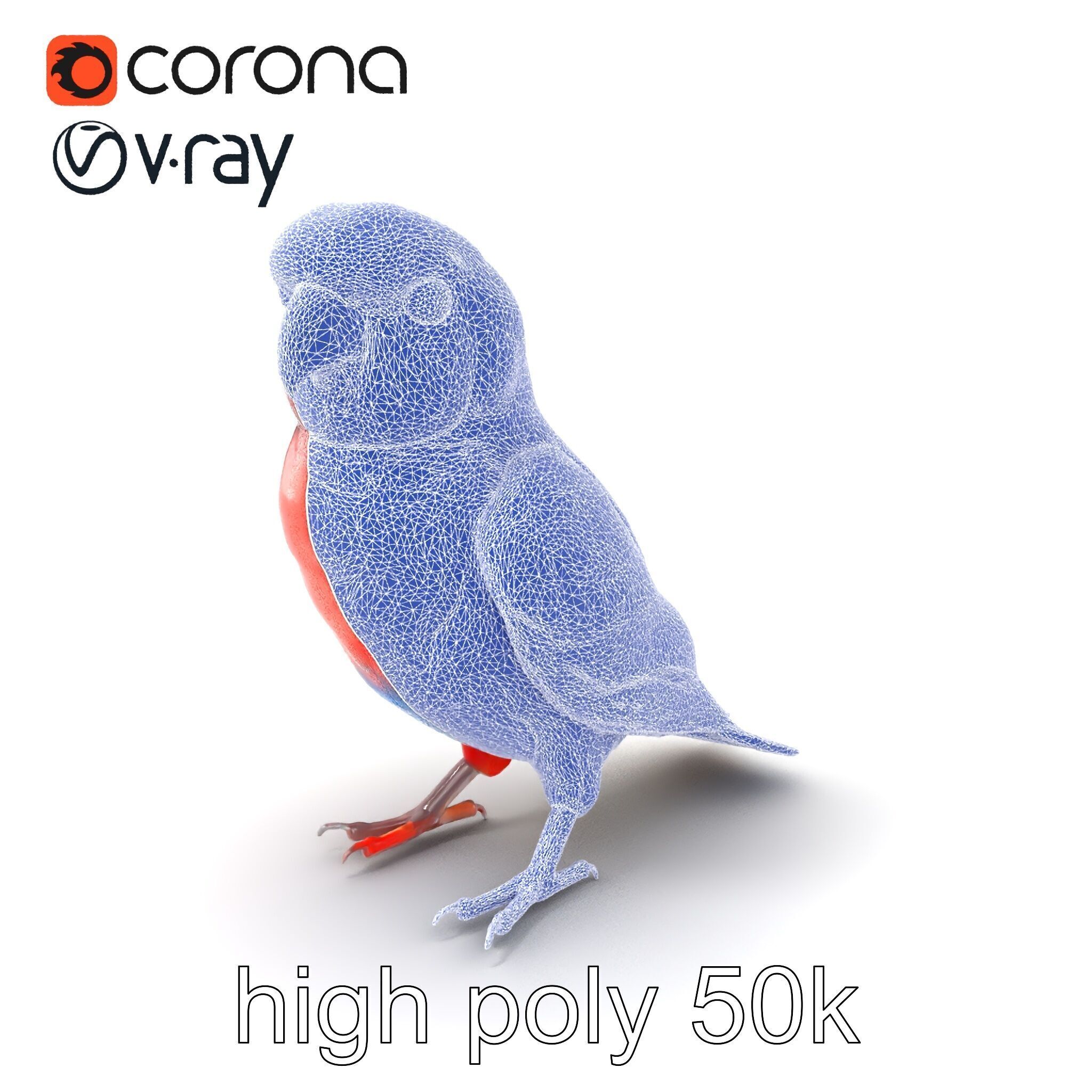 Vibrant Rosella Parrot 3D model pack Low-poly 3D model_10