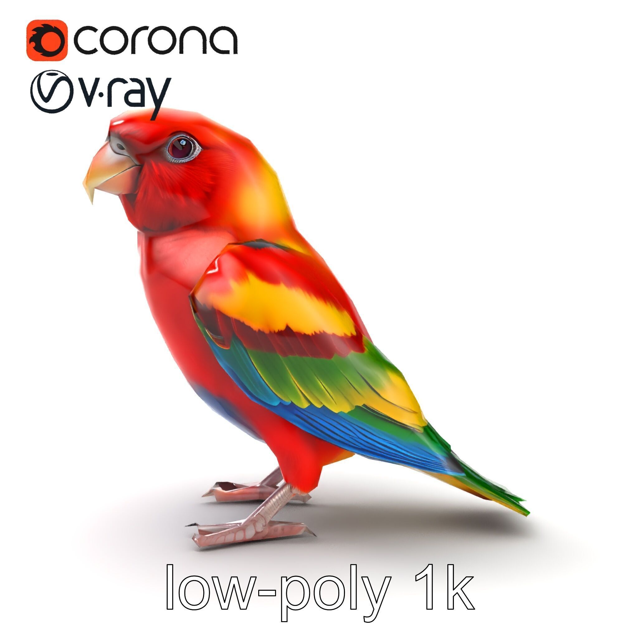 Vibrant Rosella Parrot 3D model pack Low-poly 3D model_13