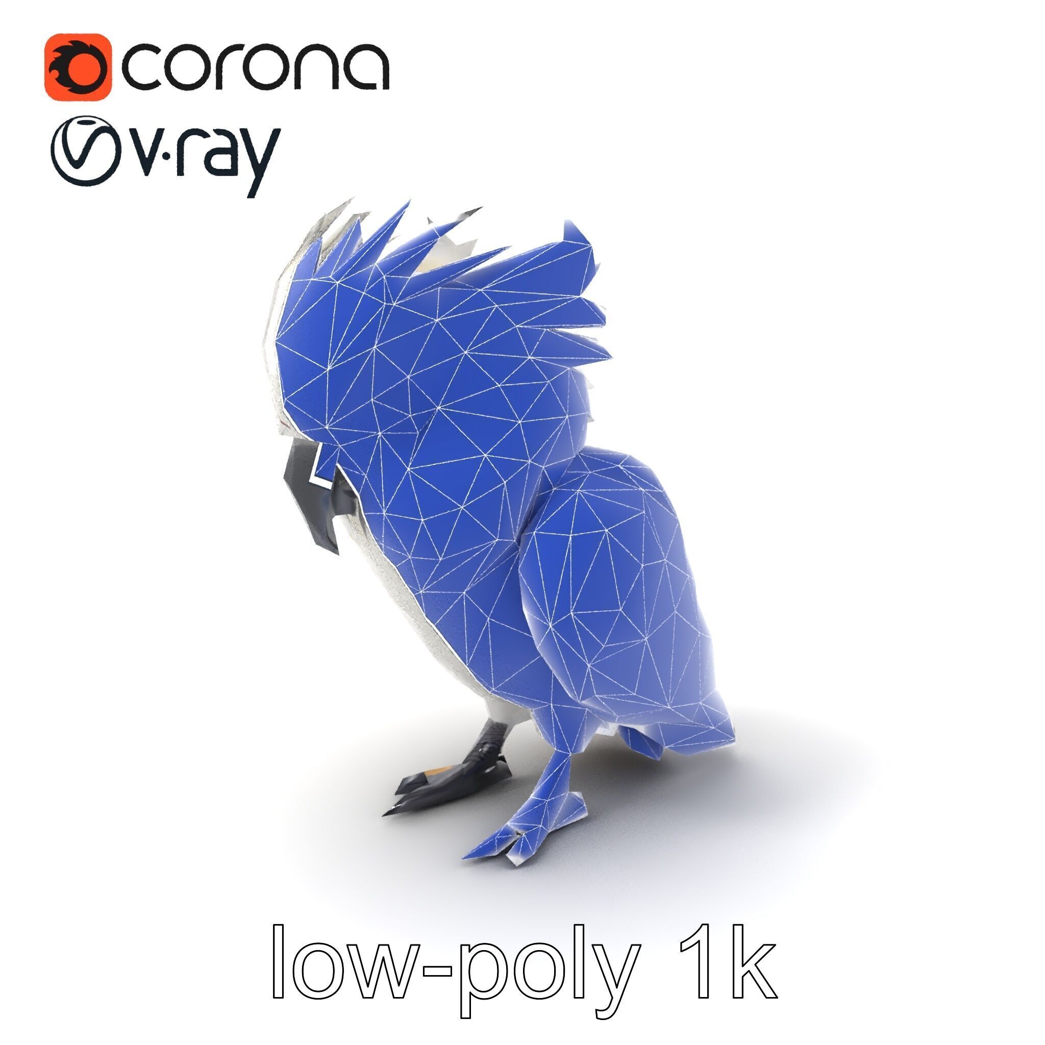 Cockatoo Bird Realistic Feather Details model pack Low-poly 3D model_6