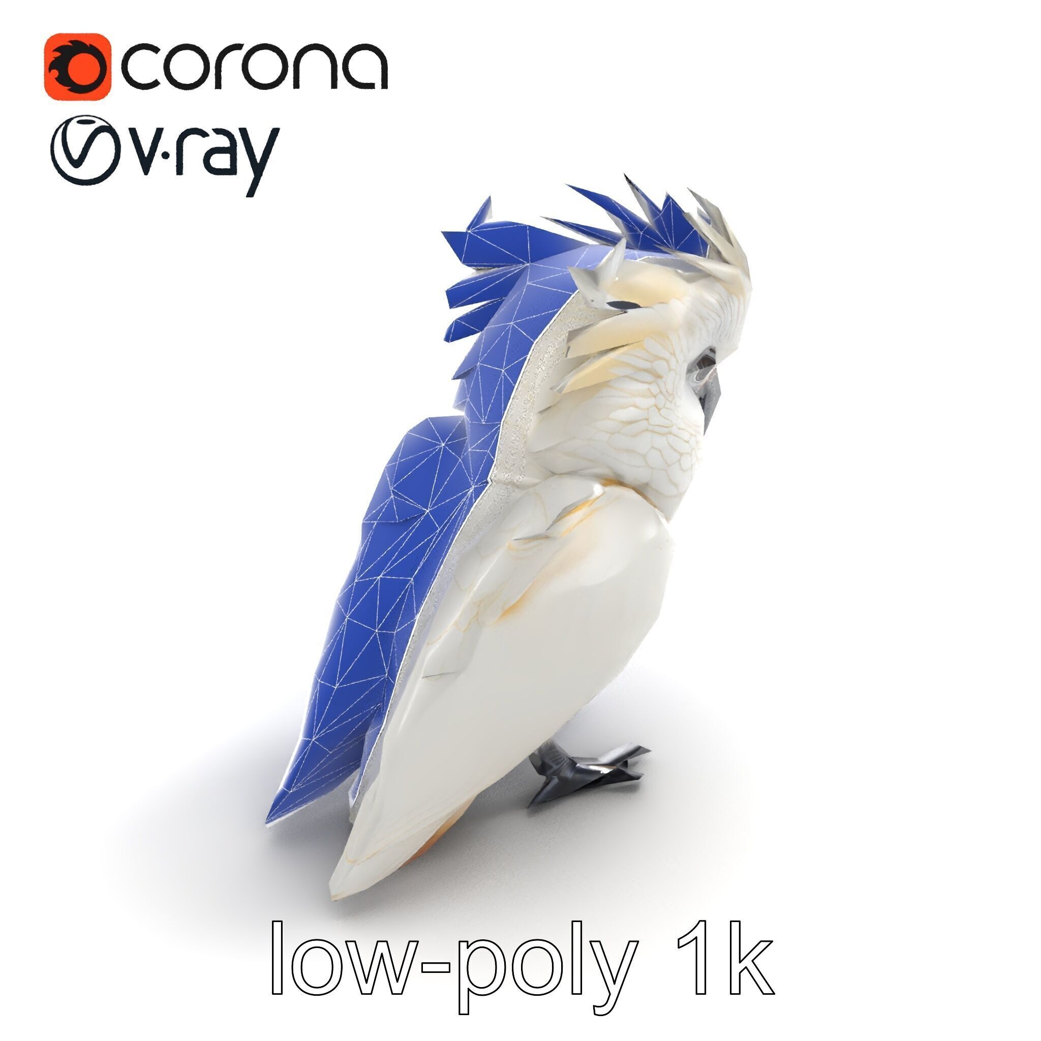 Cockatoo Bird Realistic Feather Details model pack Low-poly 3D model_20
