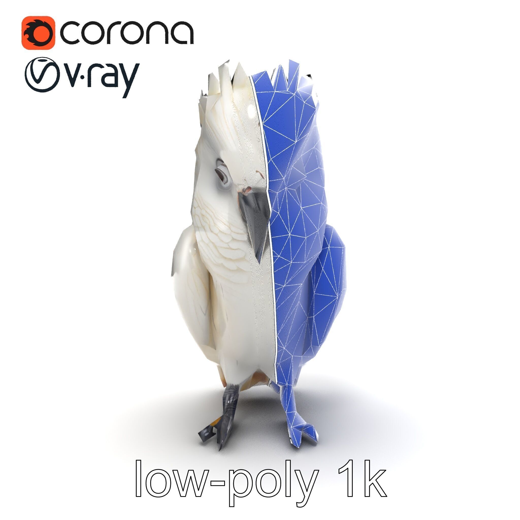 Cockatoo Bird Realistic Feather Details model pack Low-poly 3D model_30