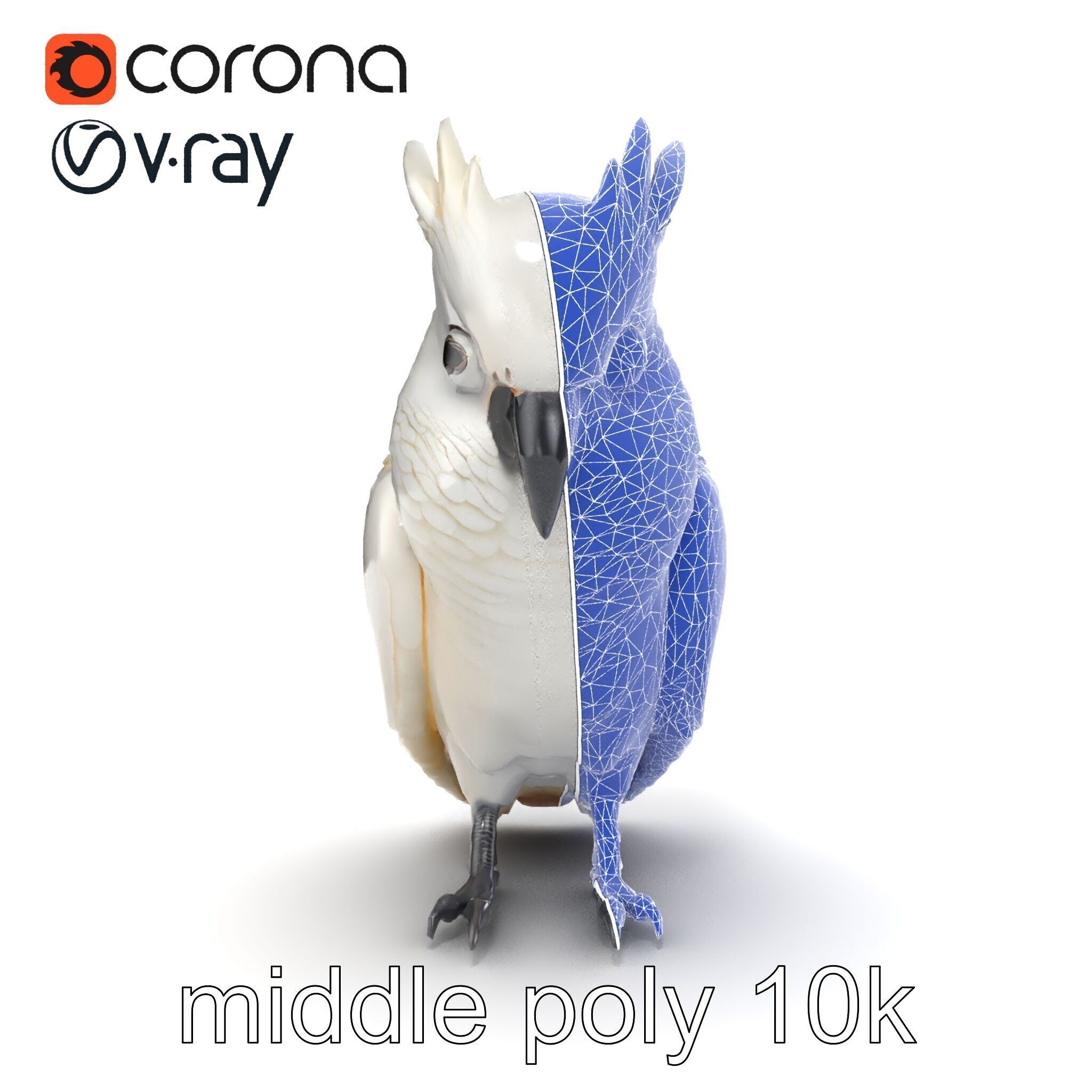 Cockatoo Bird Realistic Feather Details model pack Low-poly 3D model_25