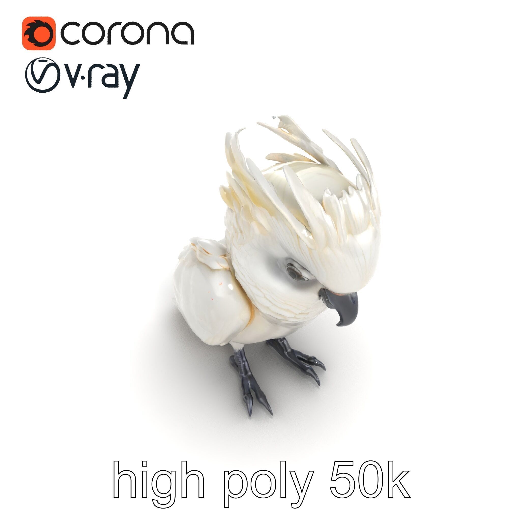 Cockatoo Bird Realistic Feather Details model pack Low-poly 3D model_17