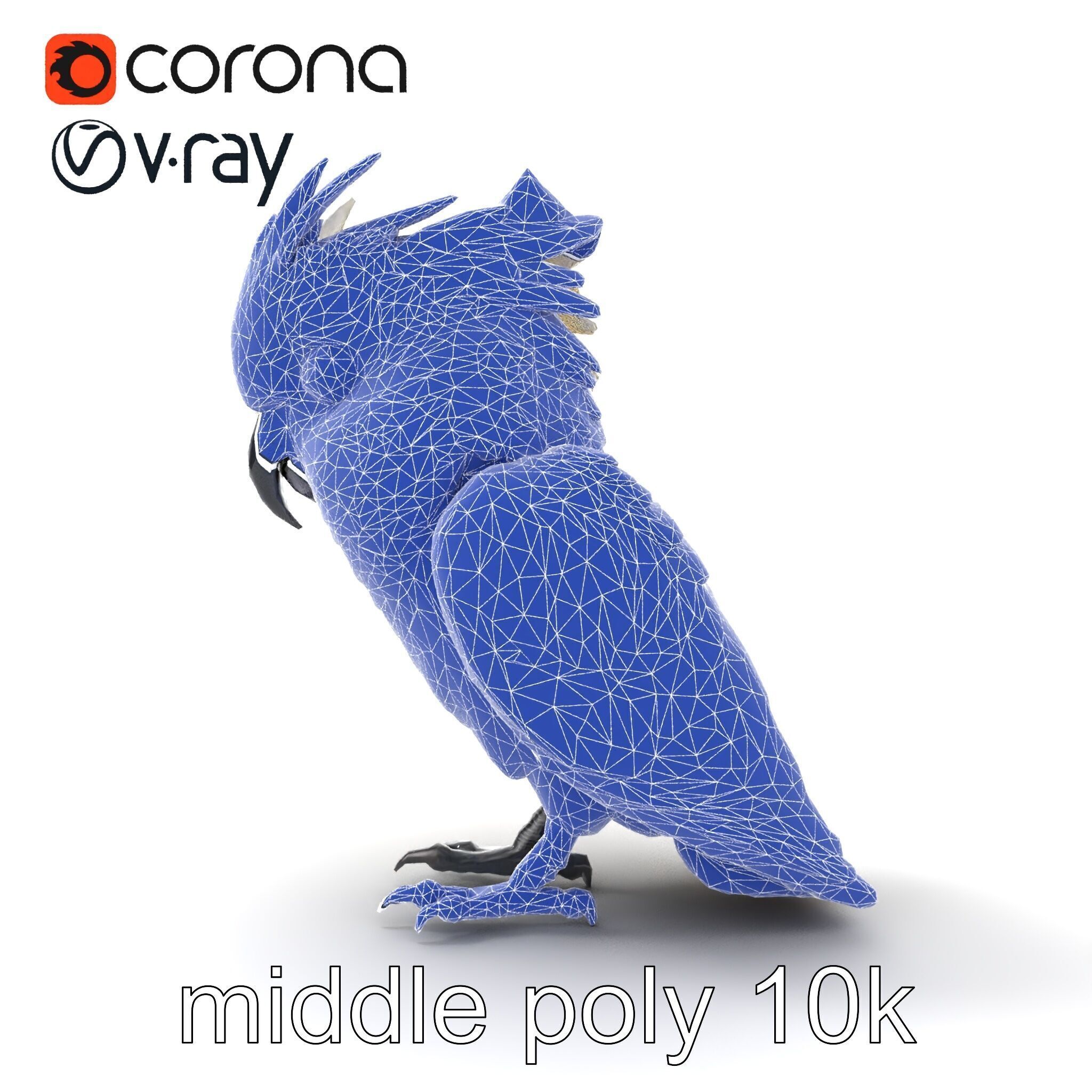Cockatoo Bird Realistic Feather Details model pack Low-poly 3D model_24