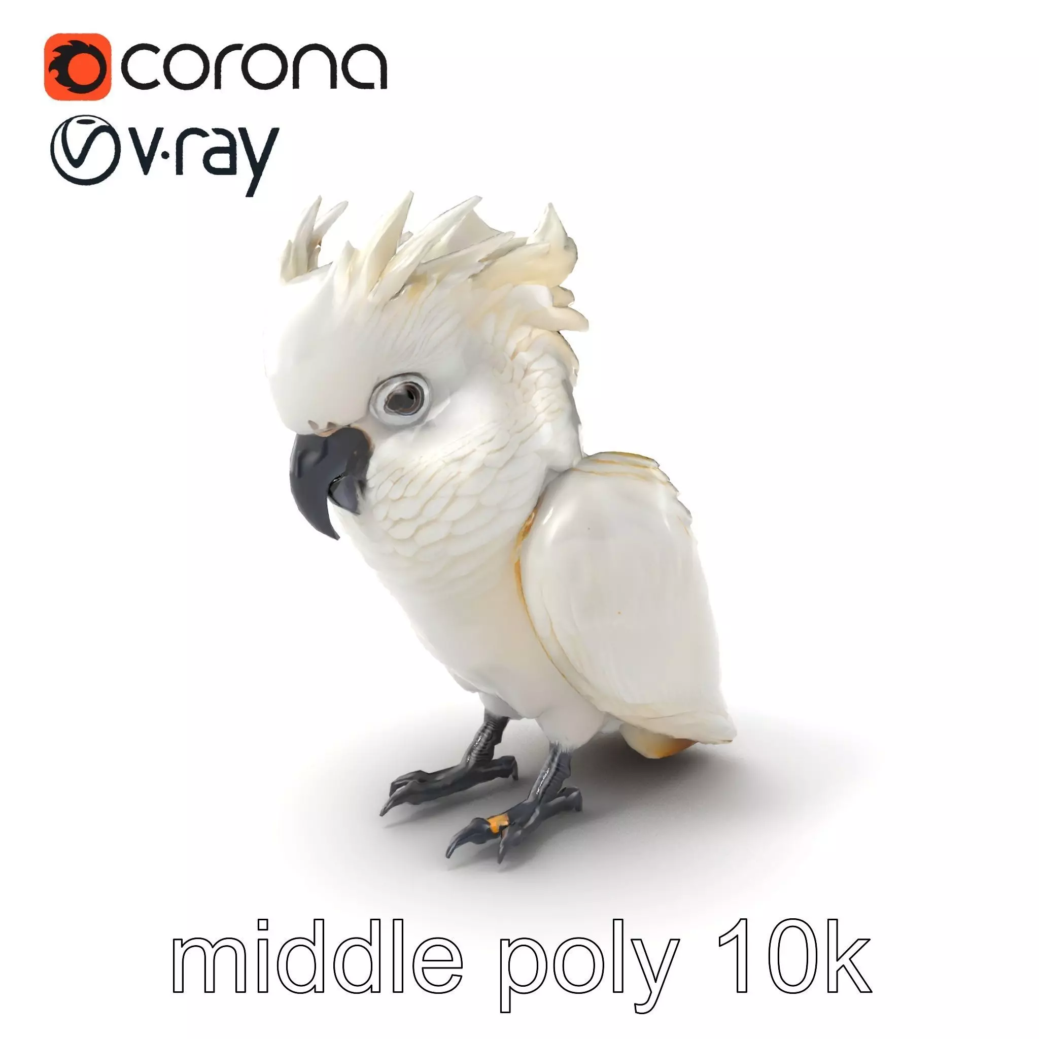 Cockatoo Bird Realistic Feather Details model pack Low-poly 3D model_0