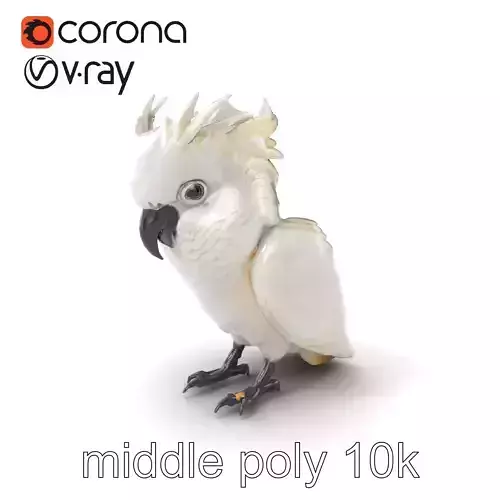 Cockatoo Bird Realistic Feather Details model pack Low-poly 3D model