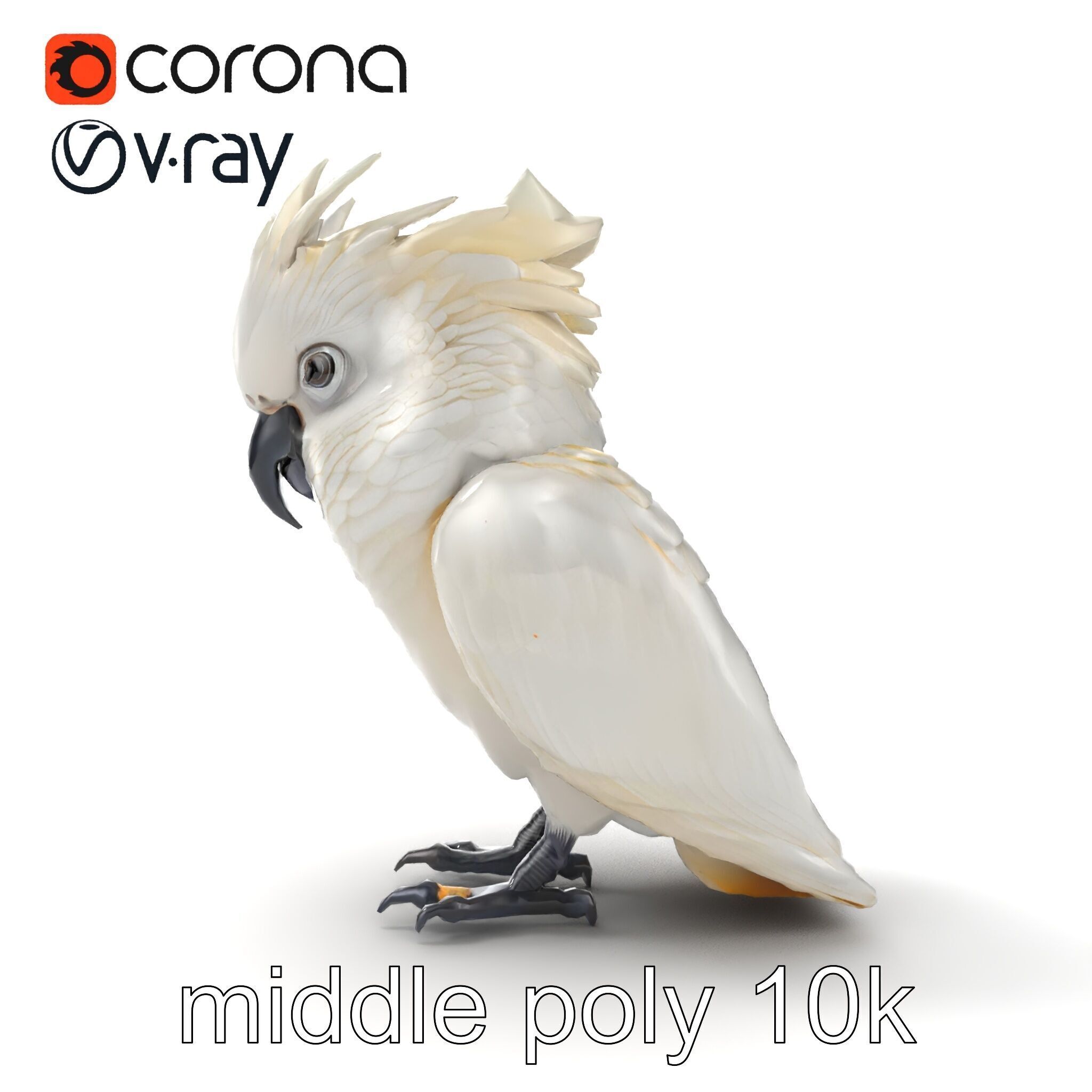 Cockatoo Bird Realistic Feather Details model pack Low-poly 3D model_19
