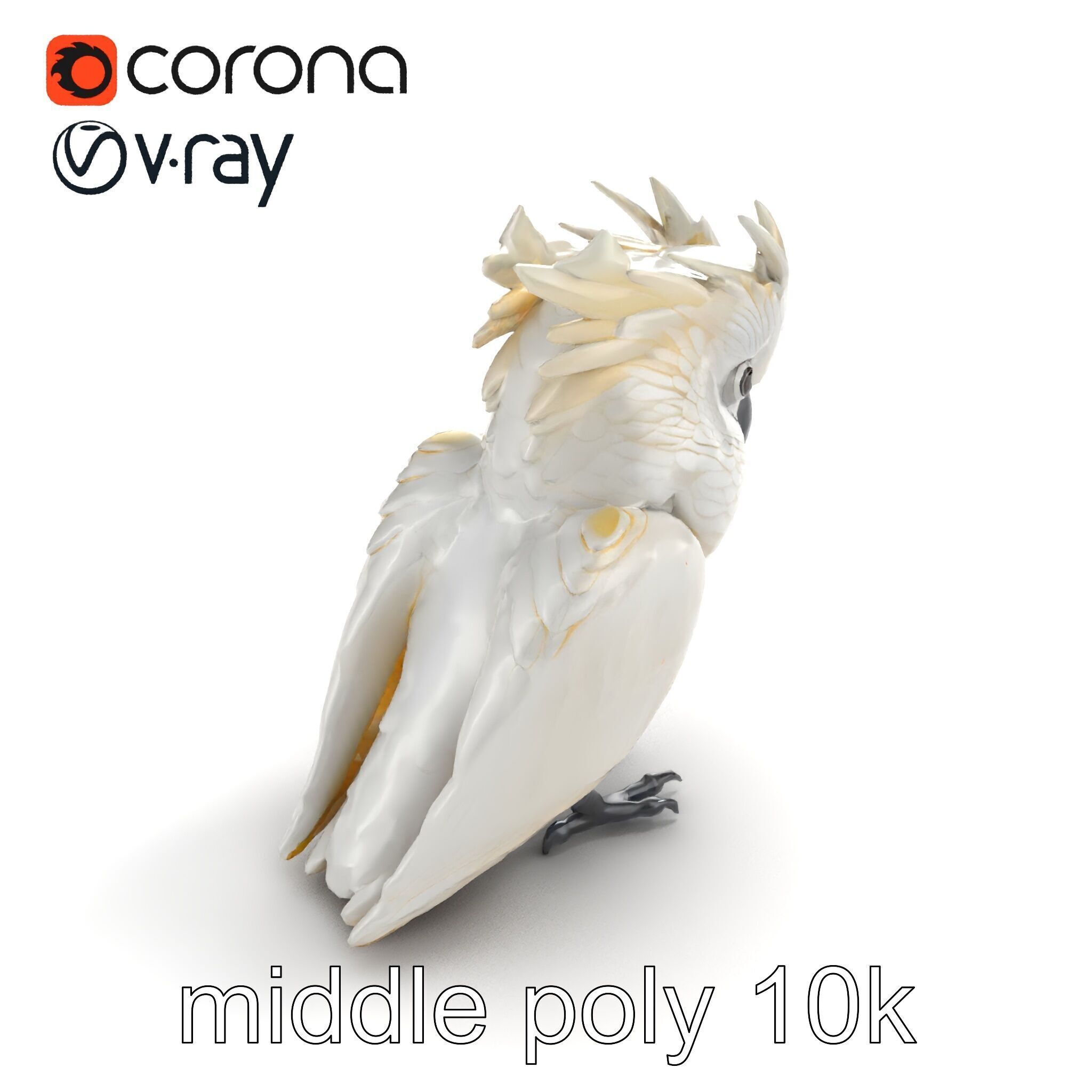 Cockatoo Bird Realistic Feather Details model pack Low-poly 3D model_7