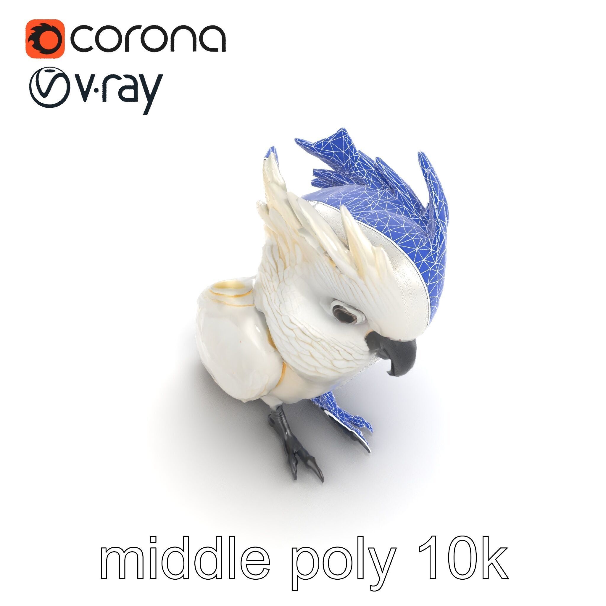 Cockatoo Bird Realistic Feather Details model pack Low-poly 3D model_16