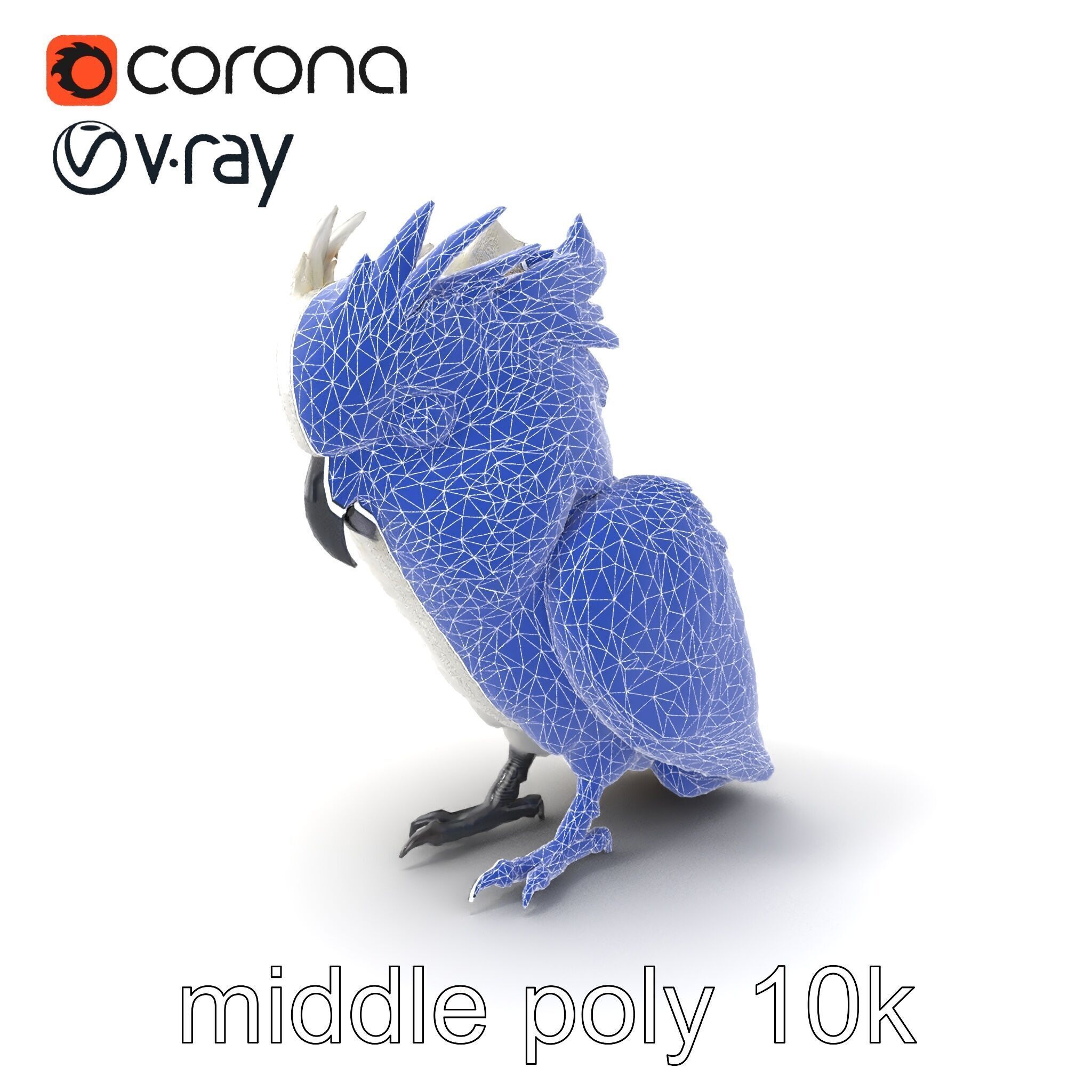 Cockatoo Bird Realistic Feather Details model pack Low-poly 3D model_5