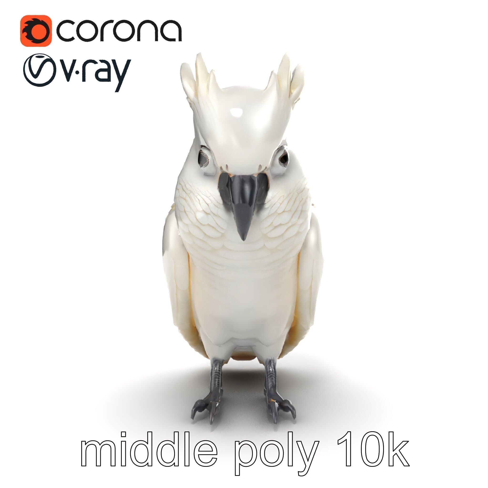 Cockatoo Bird Realistic Feather Details model pack Low-poly 3D model_28
