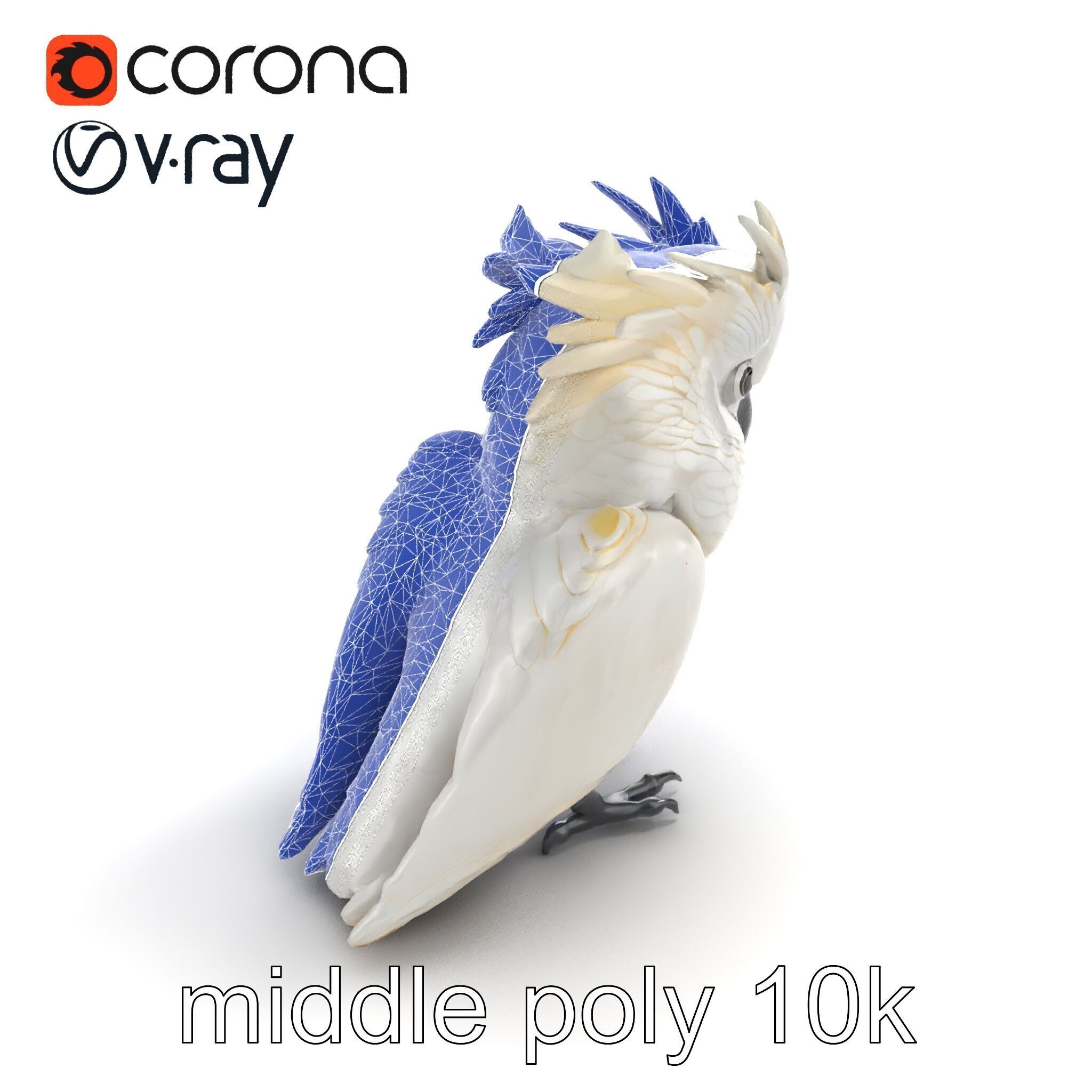 Cockatoo Bird Realistic Feather Details model pack Low-poly 3D model_10