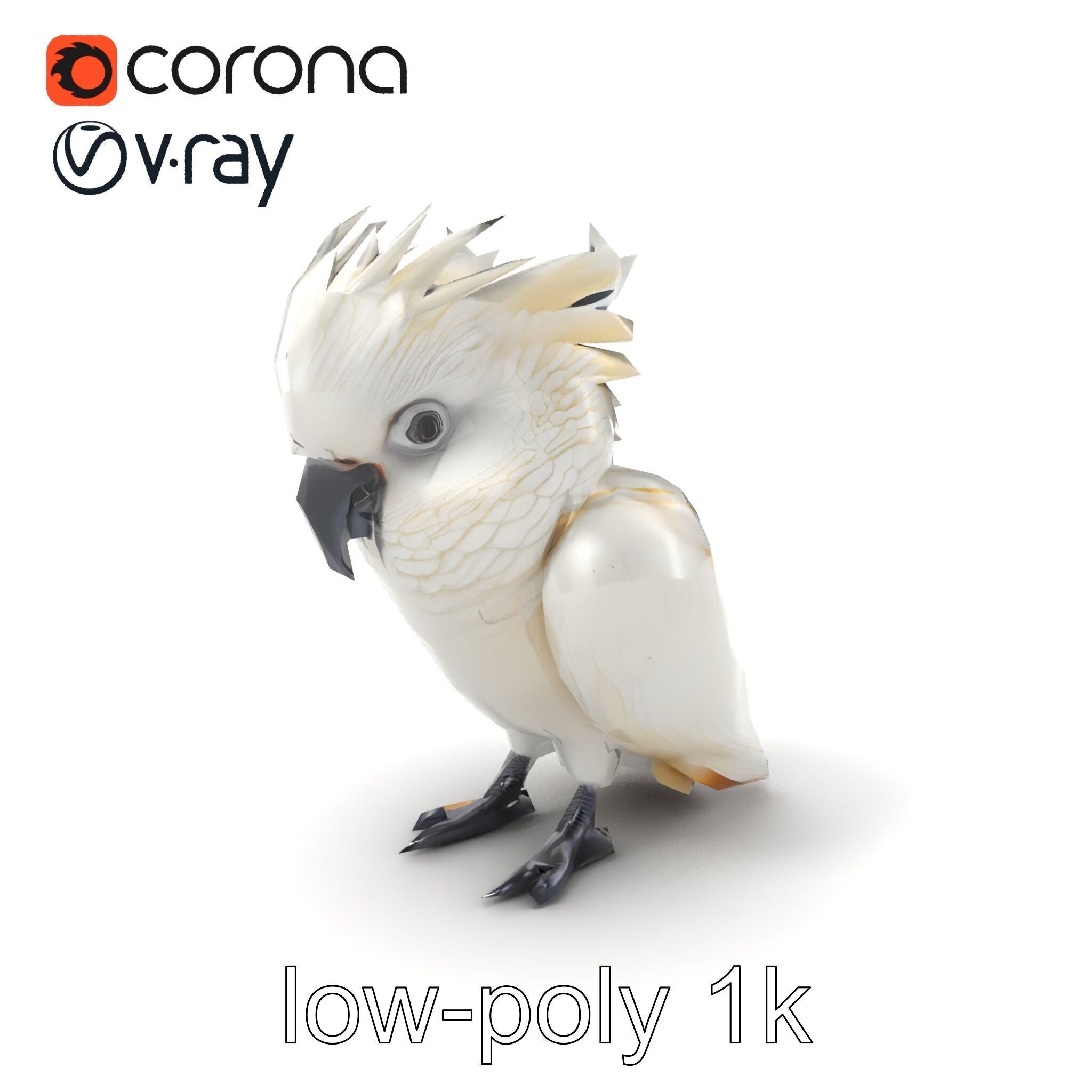 Cockatoo Bird Realistic Feather Details model pack Low-poly 3D model_4
