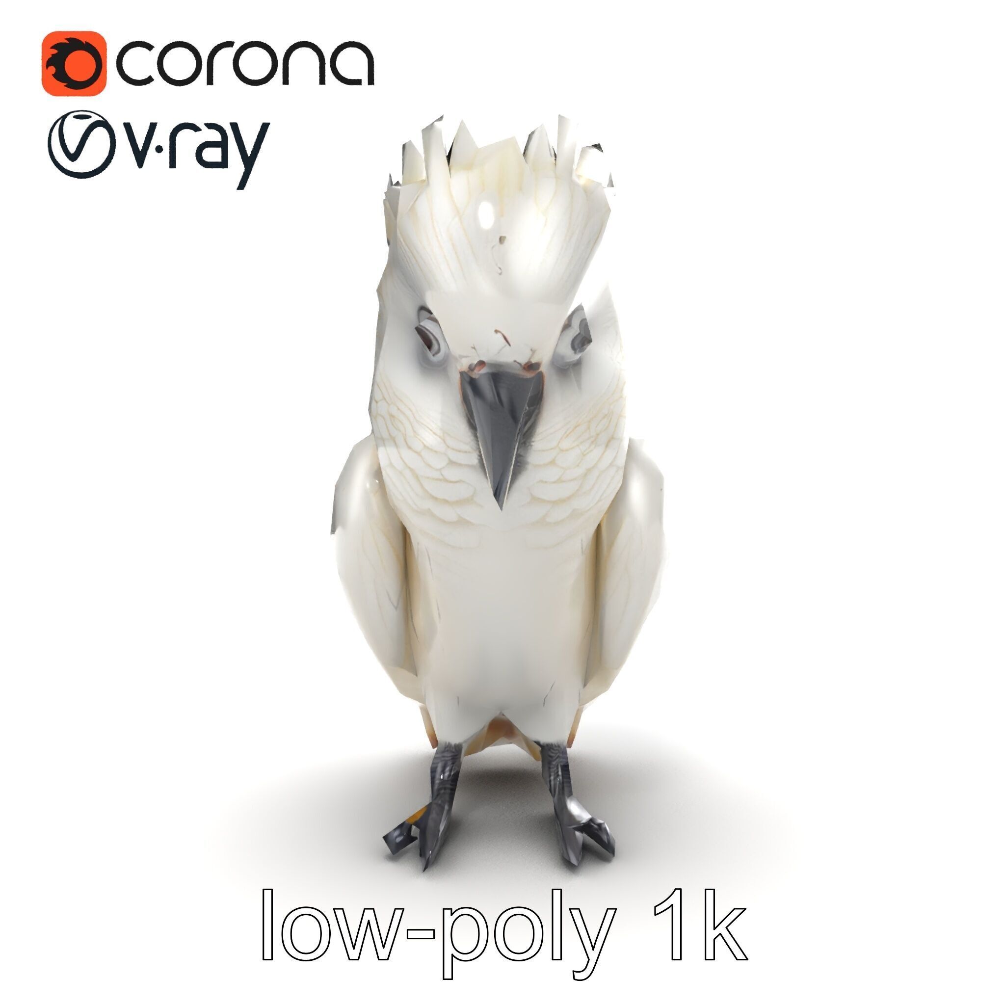 Cockatoo Bird Realistic Feather Details model pack Low-poly 3D model_22