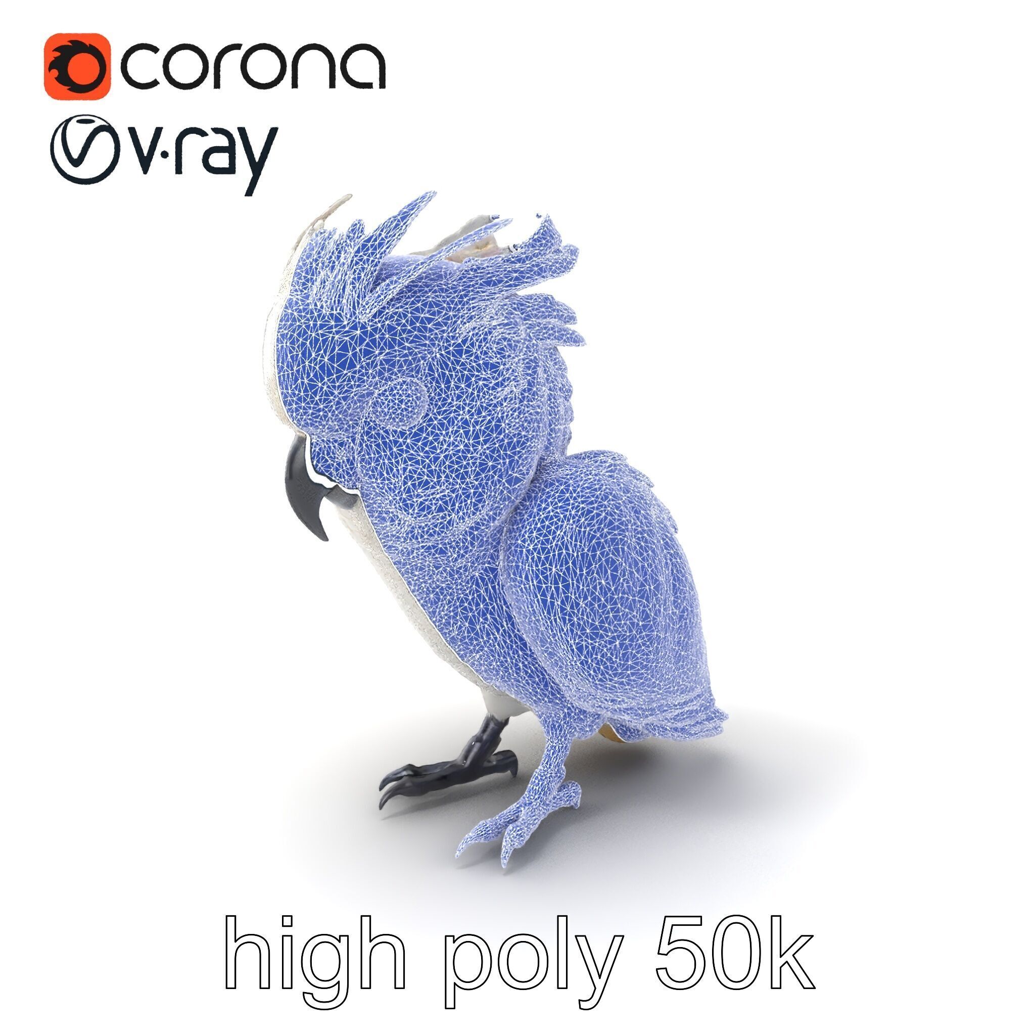Cockatoo Bird Realistic Feather Details model pack Low-poly 3D model_1
