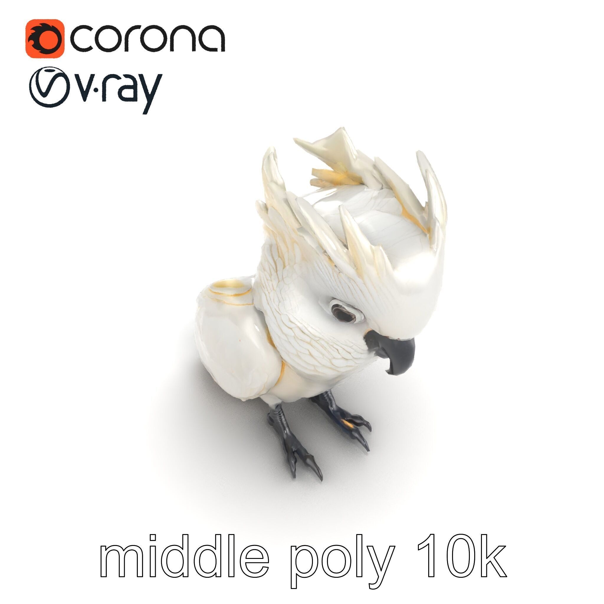Cockatoo Bird Realistic Feather Details model pack Low-poly 3D model_13