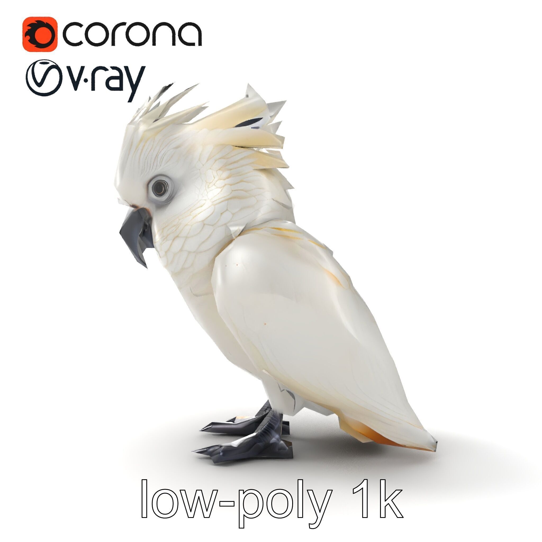 Cockatoo Bird Realistic Feather Details model pack Low-poly 3D model_14