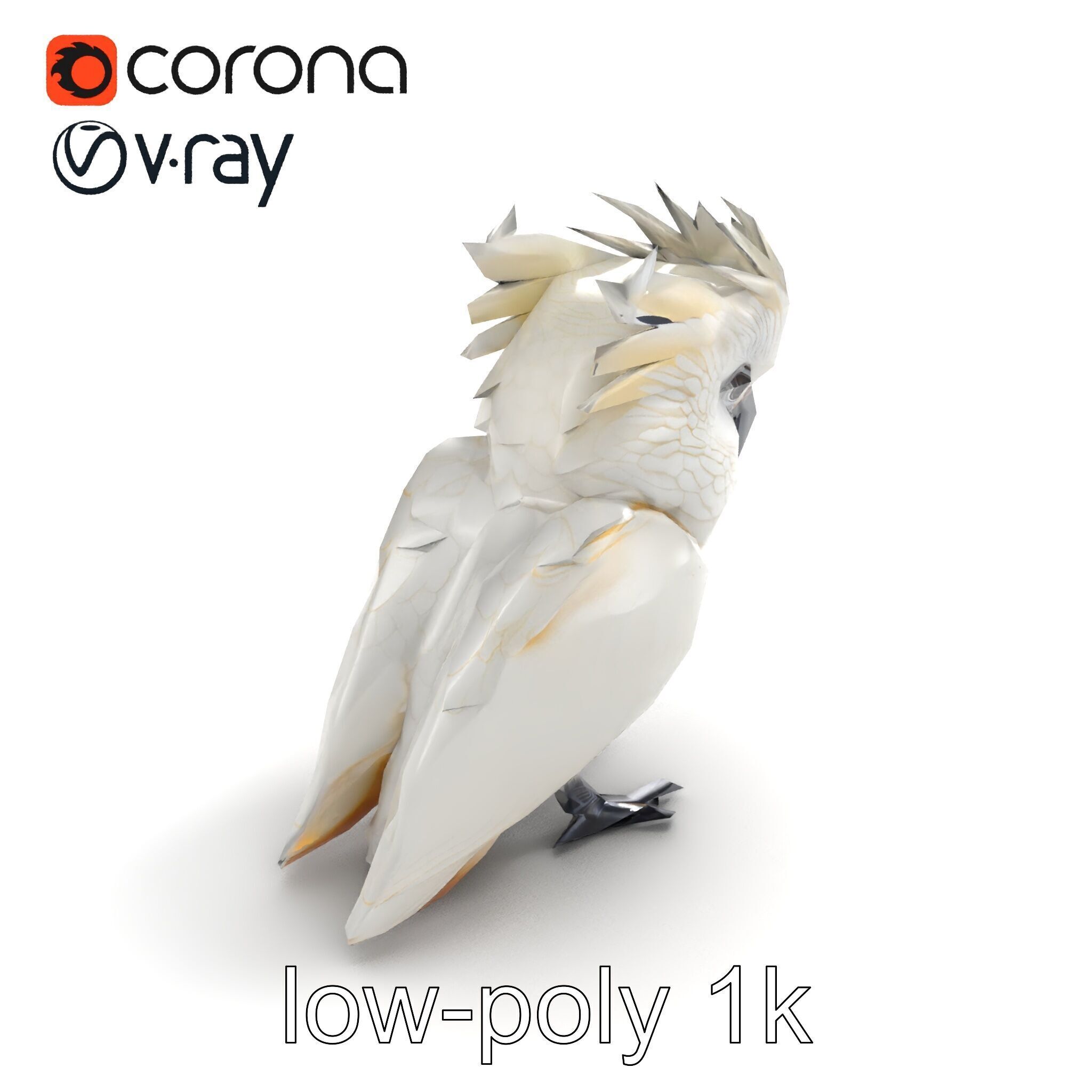 Cockatoo Bird Realistic Feather Details model pack Low-poly 3D model_8