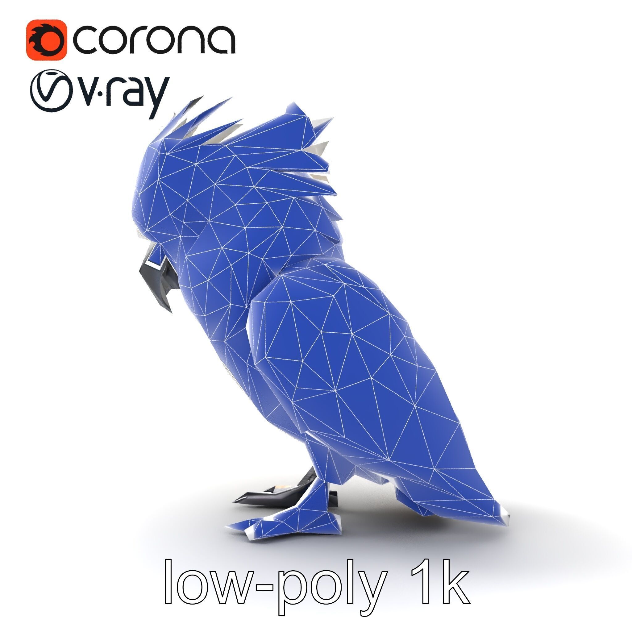 Cockatoo Bird Realistic Feather Details model pack Low-poly 3D model_11