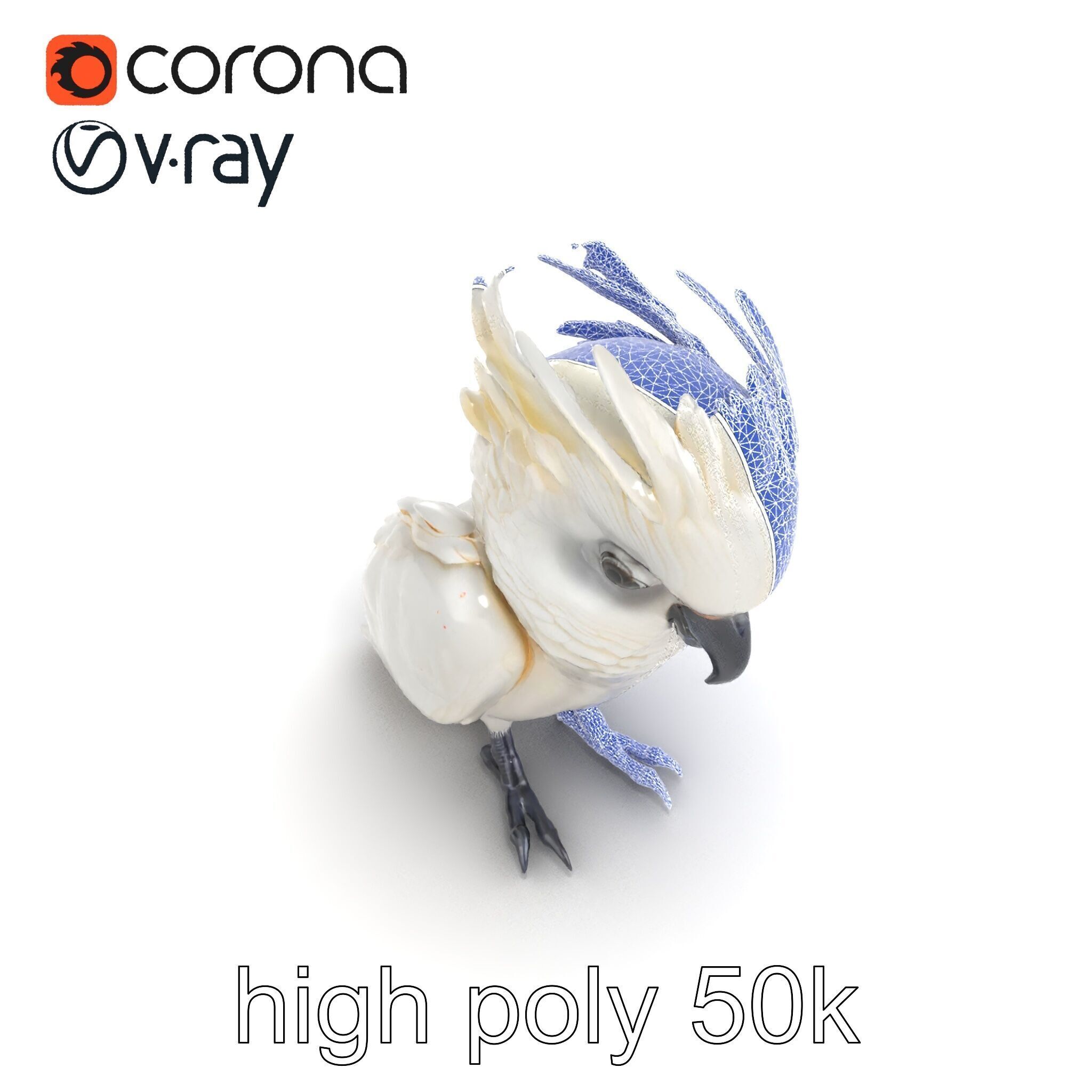 Cockatoo Bird Realistic Feather Details model pack Low-poly 3D model_18
