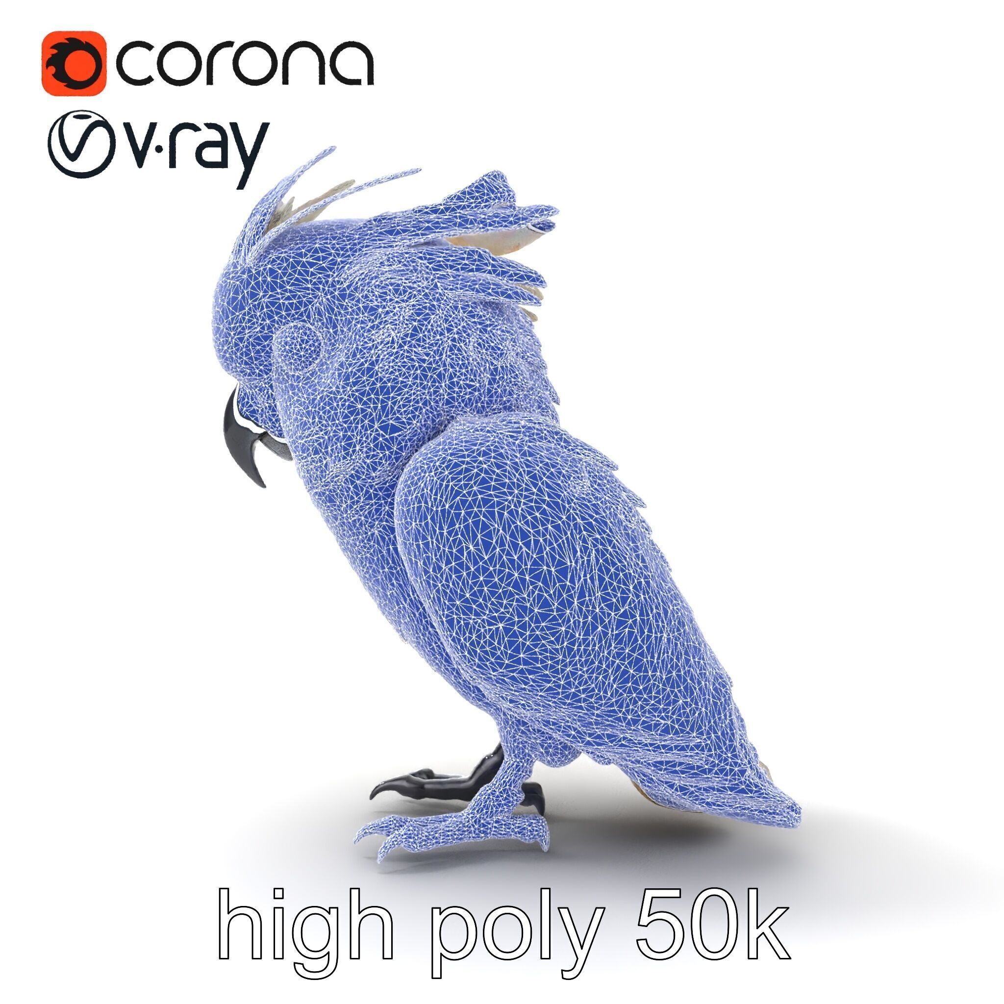 Cockatoo Bird Realistic Feather Details model pack Low-poly 3D model_29