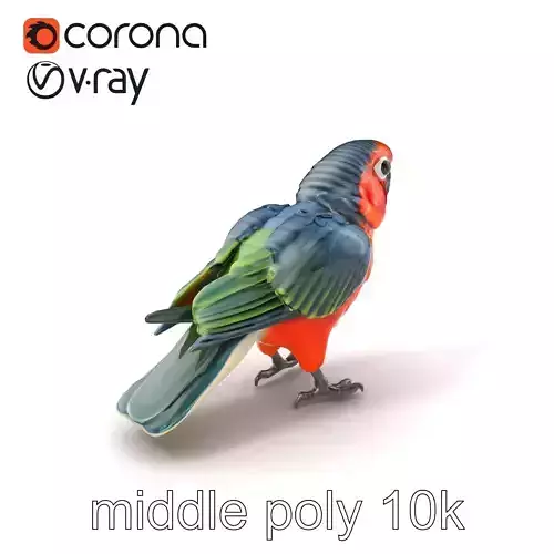 Vibrant Parrot Species Characteristics model pack Low-poly 3D model