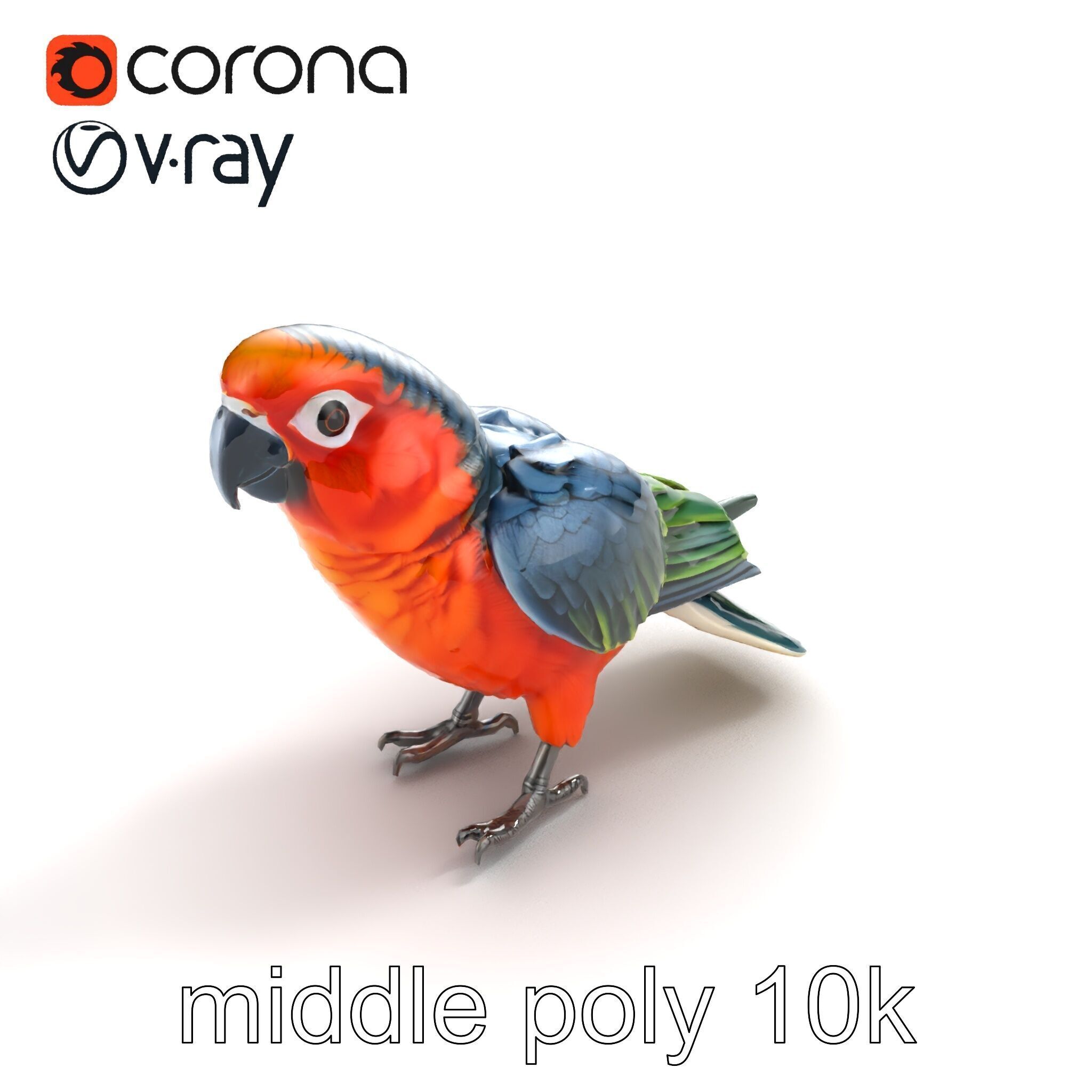 Vibrant Parrot Species Characteristics model pack Low-poly 3D model_7