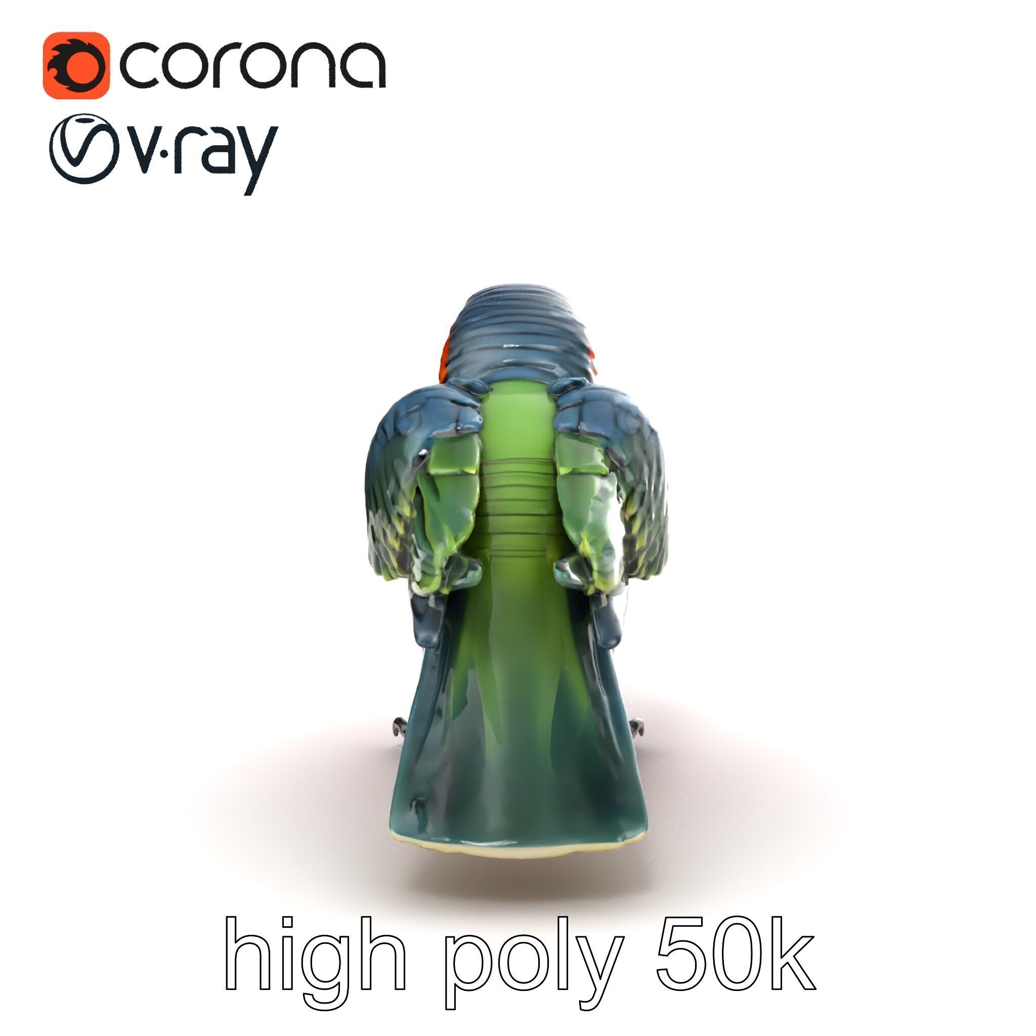 Vibrant Parrot Species Characteristics model pack Low-poly 3D model_23