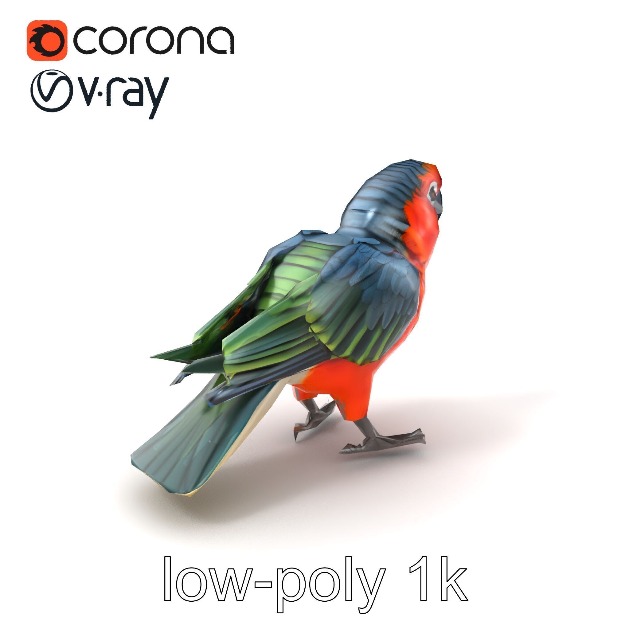Vibrant Parrot Species Characteristics model pack Low-poly 3D model_4