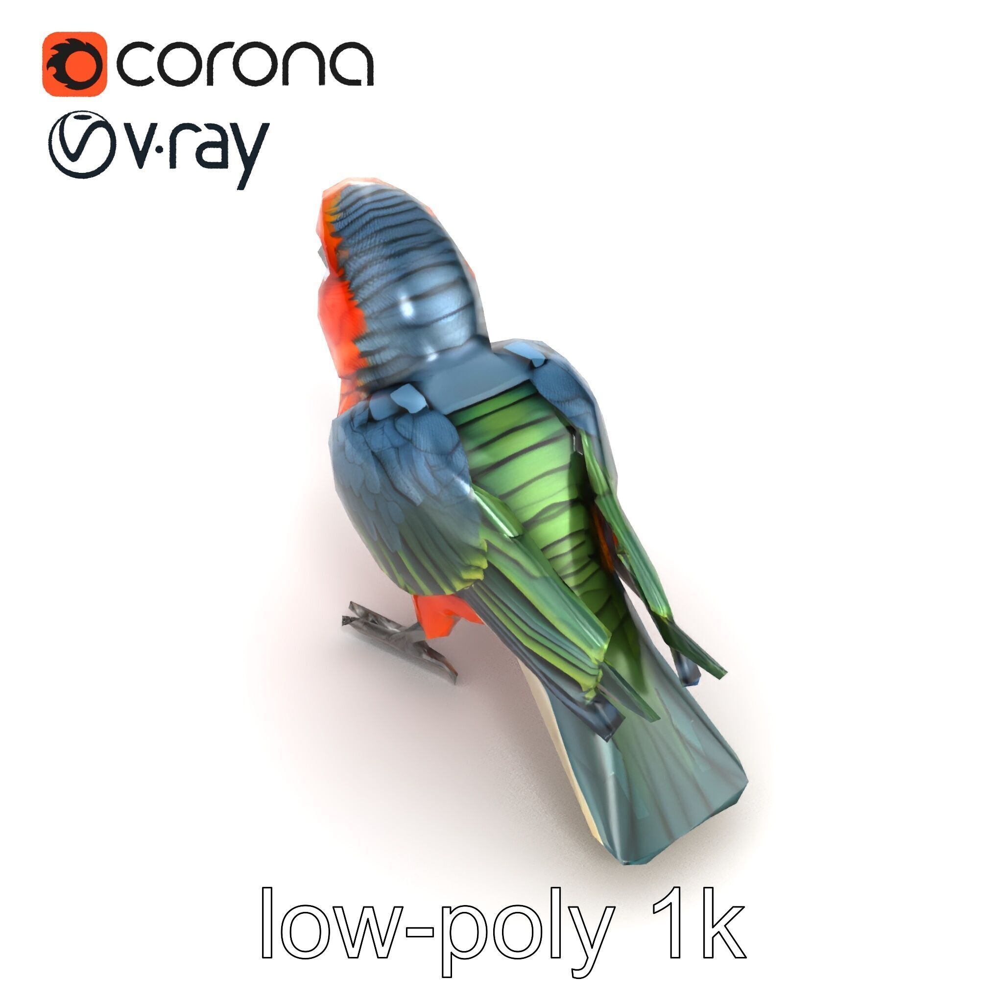 Vibrant Parrot Species Characteristics model pack Low-poly 3D model_13