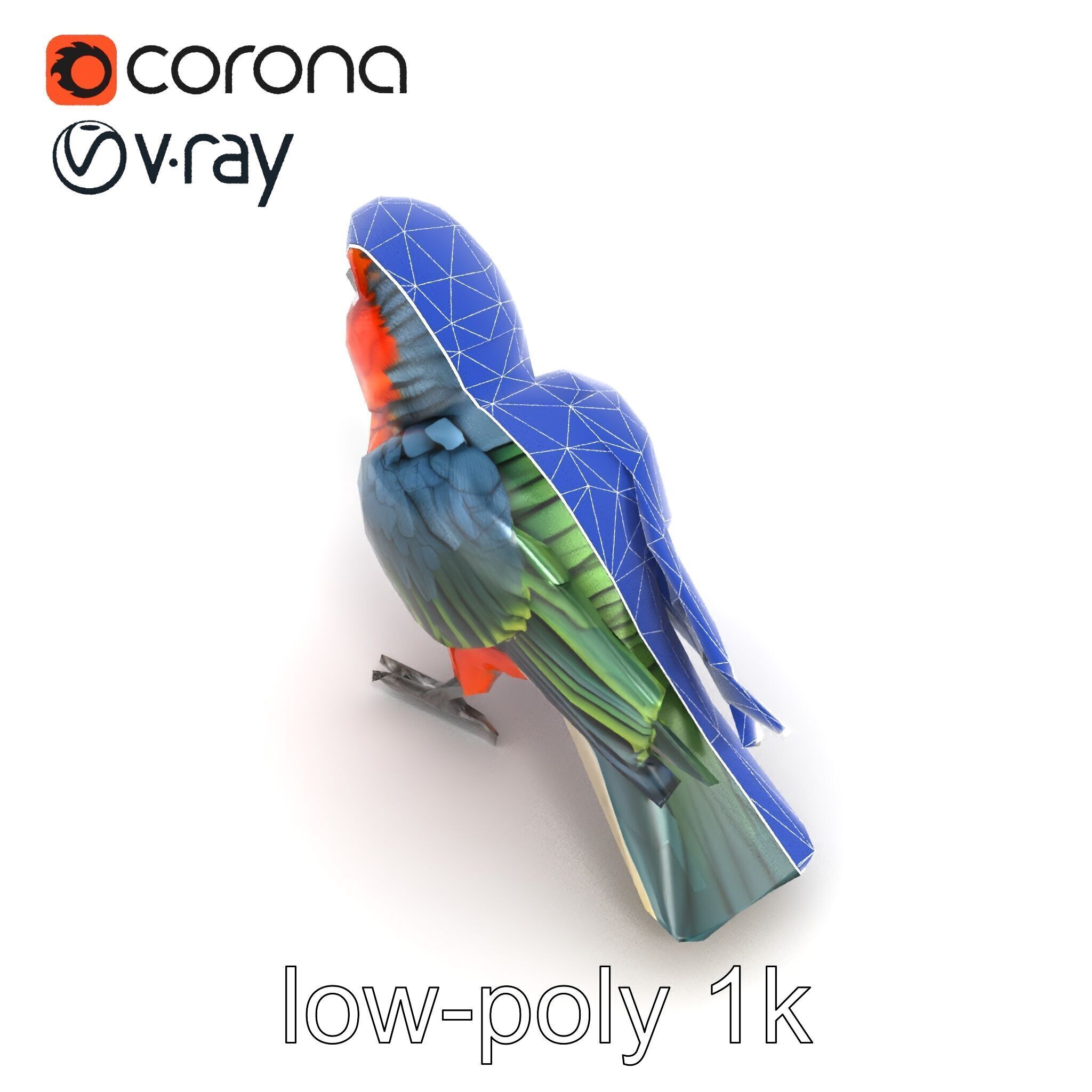 Vibrant Parrot Species Characteristics model pack Low-poly 3D model_17