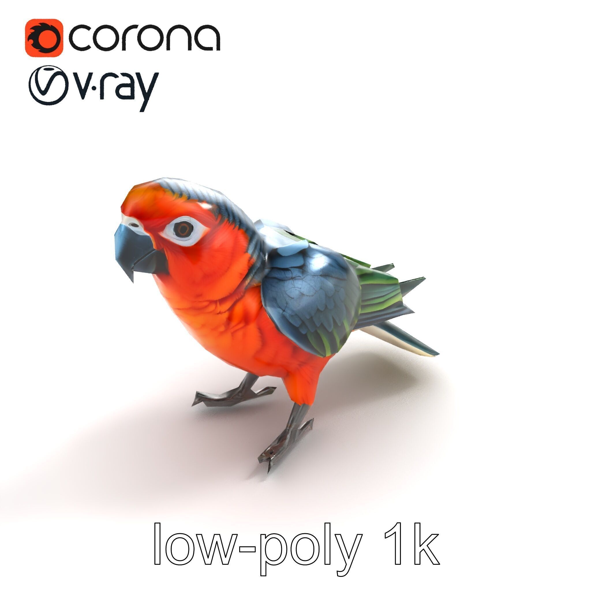Vibrant Parrot Species Characteristics model pack Low-poly 3D model_8