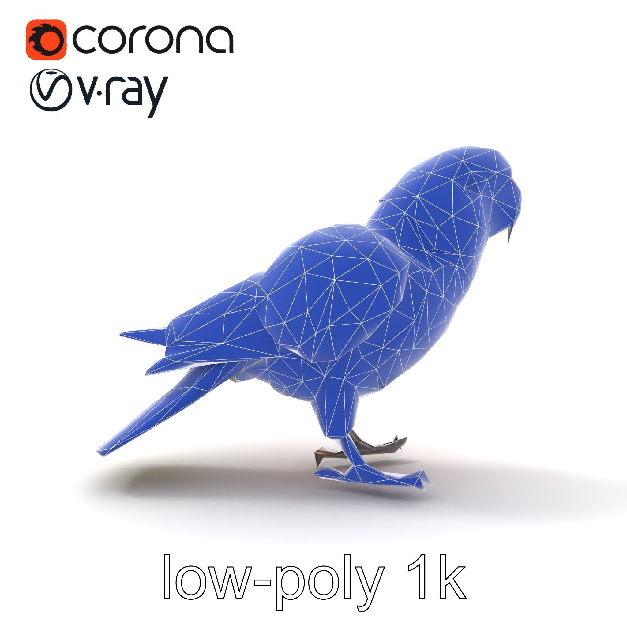 Vibrant Parrot Species Characteristics model pack Low-poly 3D model_26