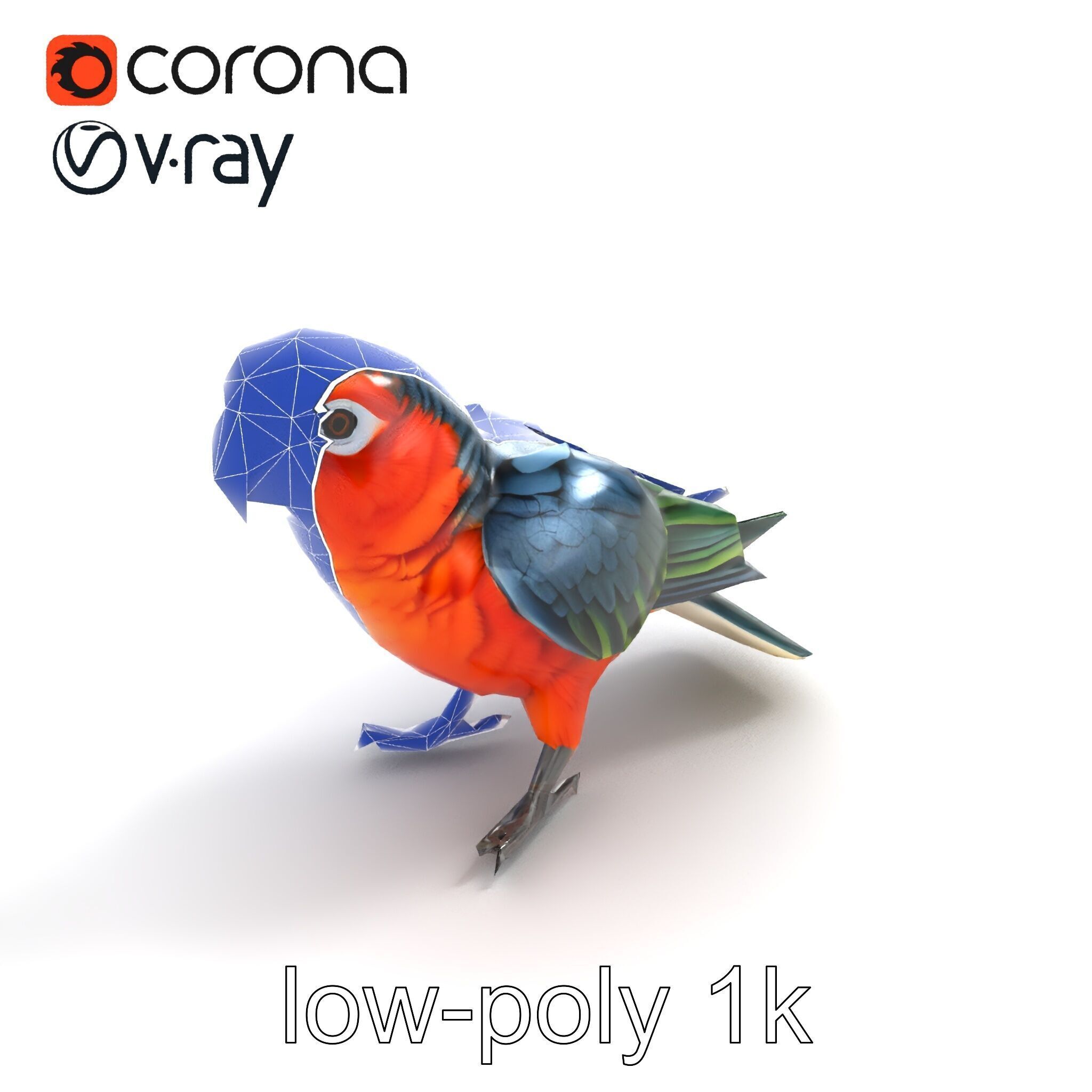 Vibrant Parrot Species Characteristics model pack Low-poly 3D model_21