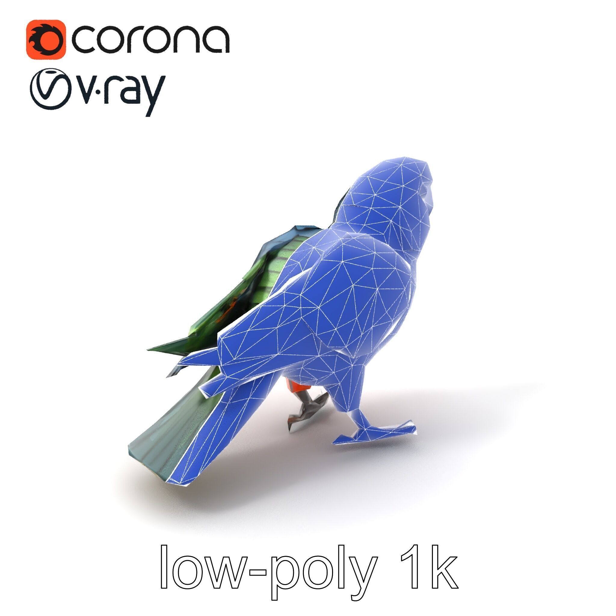 Vibrant Parrot Species Characteristics model pack Low-poly 3D model_6