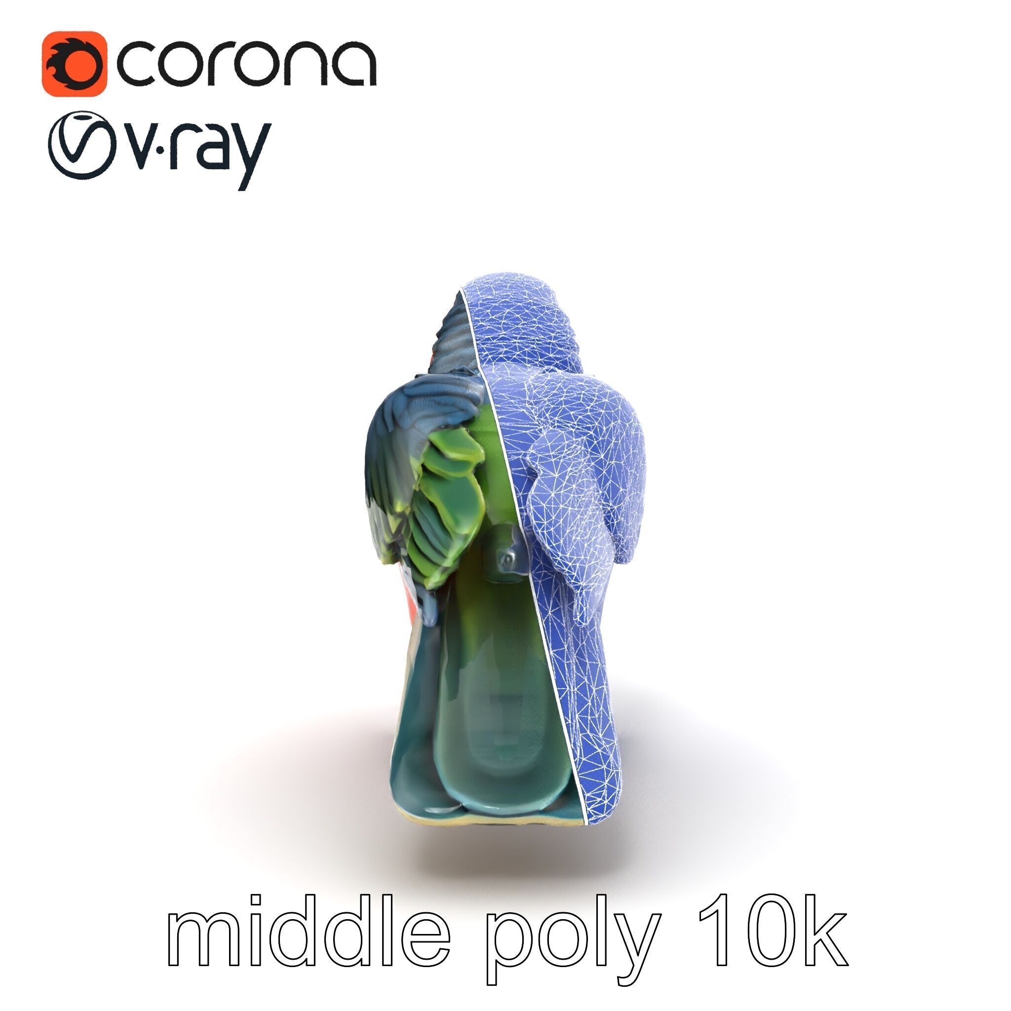 Vibrant Parrot Species Characteristics model pack Low-poly 3D model_18